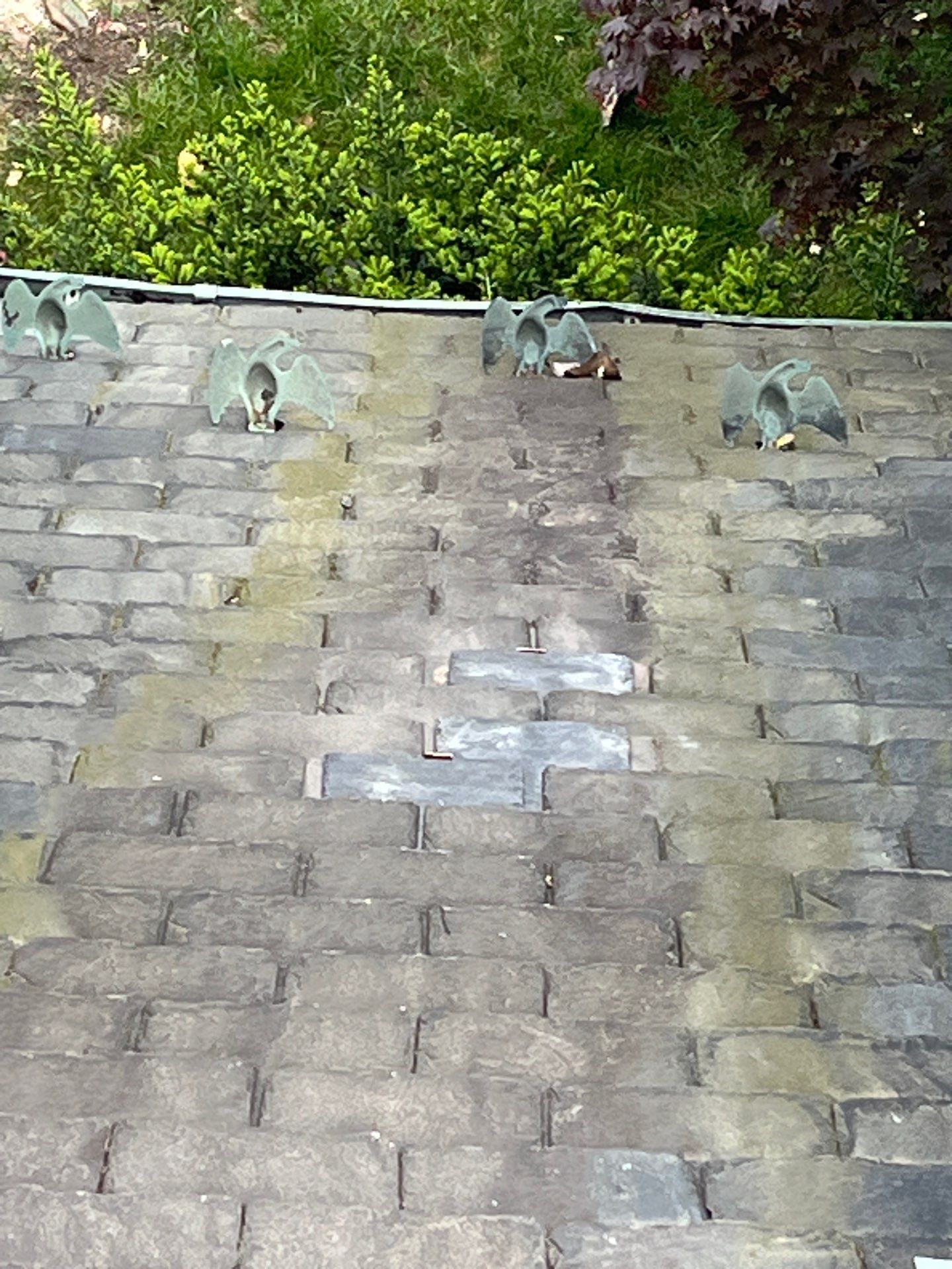 Arlington: Buckingham Slate and Carlisle Syntec TPO Roof by RM Banning, Inc.