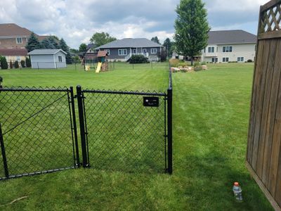 Black Vinyl Coated Chain Link Fence Installation in Cedar Falls
