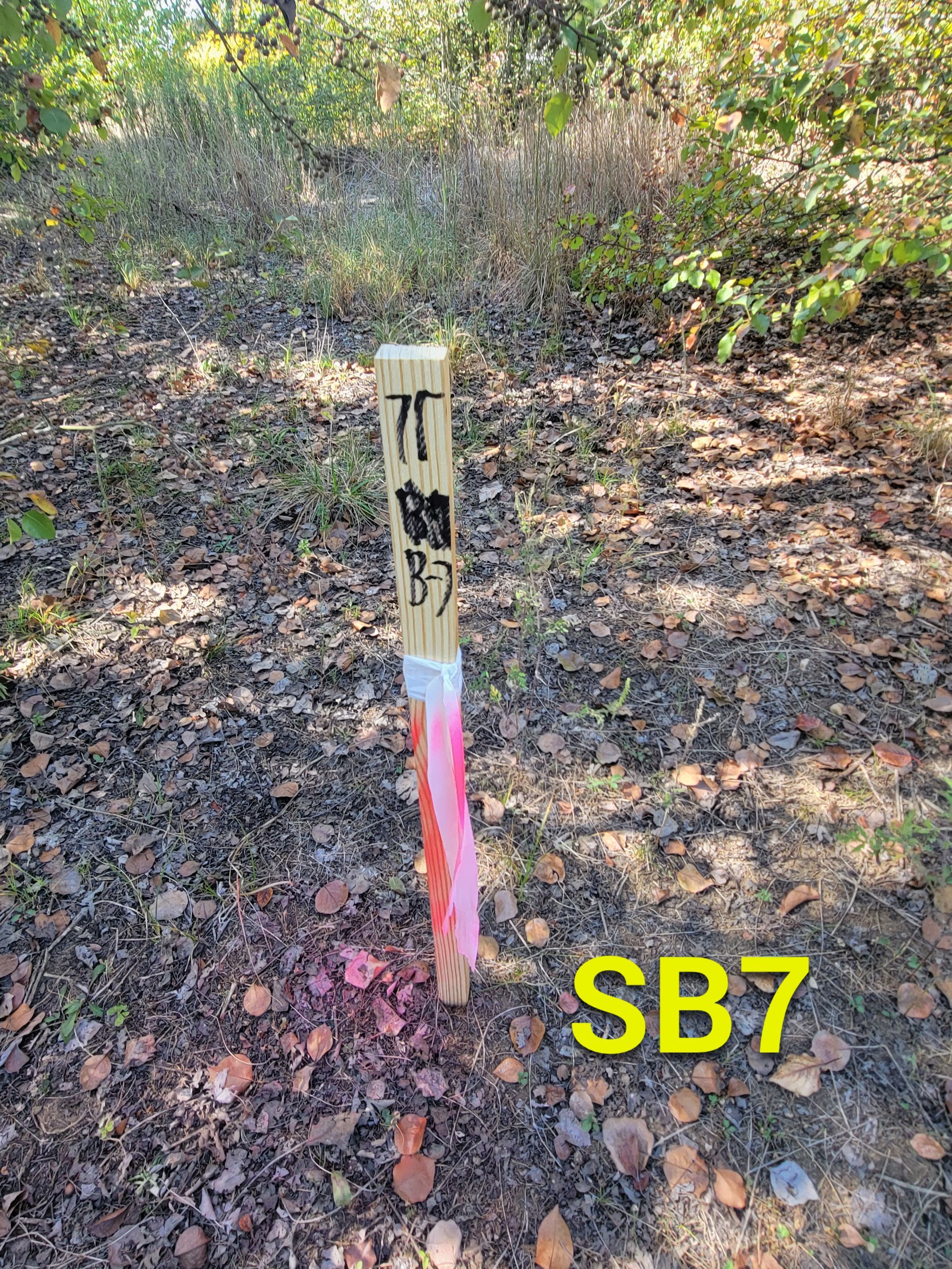 Soil Boring Locations by Alsip Locating Service, LLC