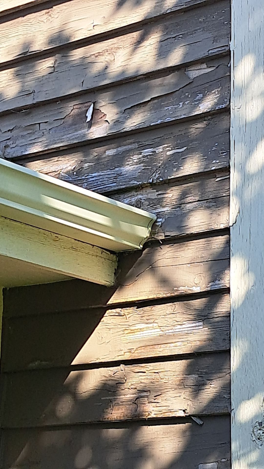 Sarah's Dream Renovation  by Gellings Roofing and Siding LLC
