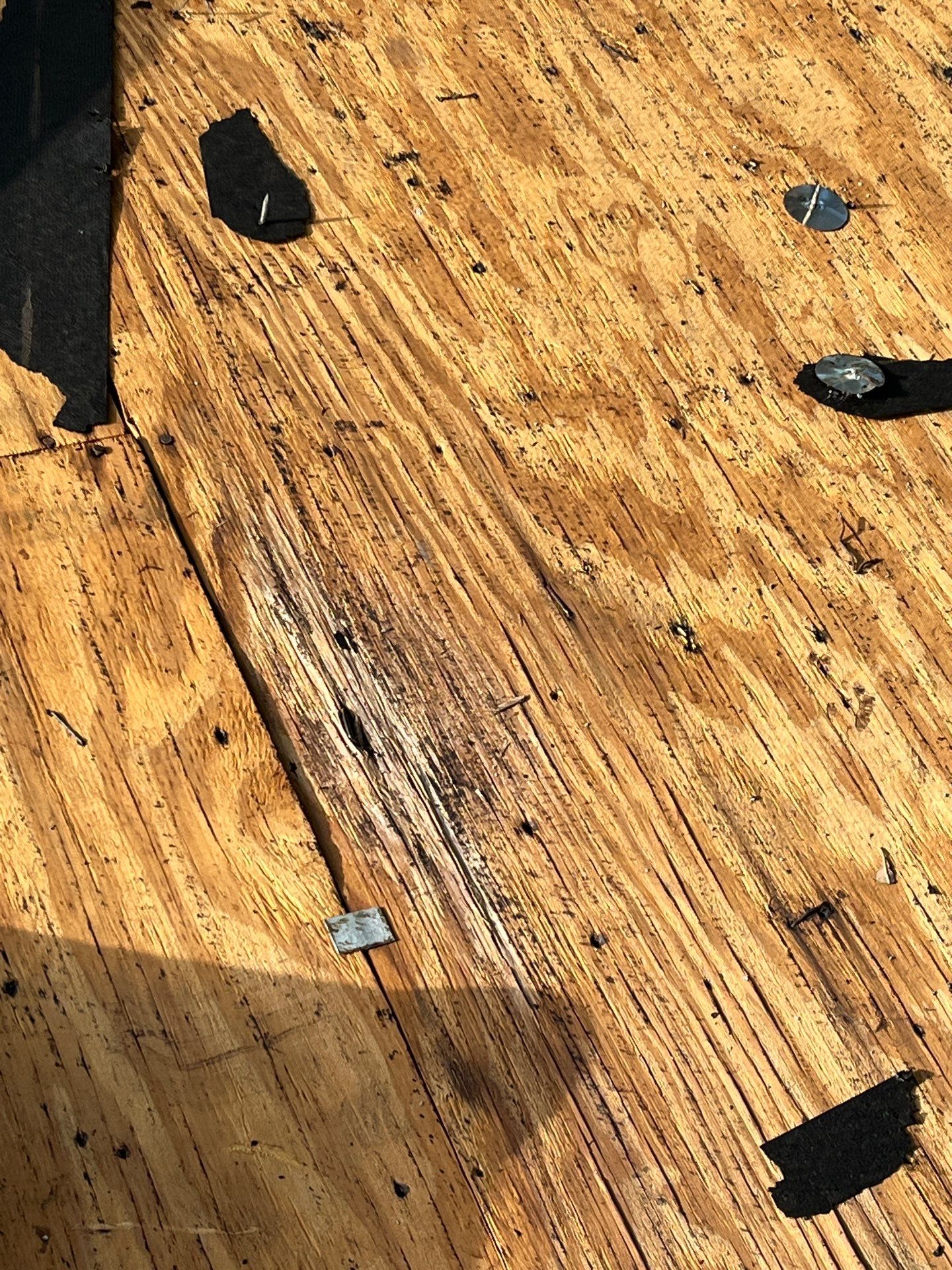 Project in Seminole 33777 by Mitchell Roofing Company LLC