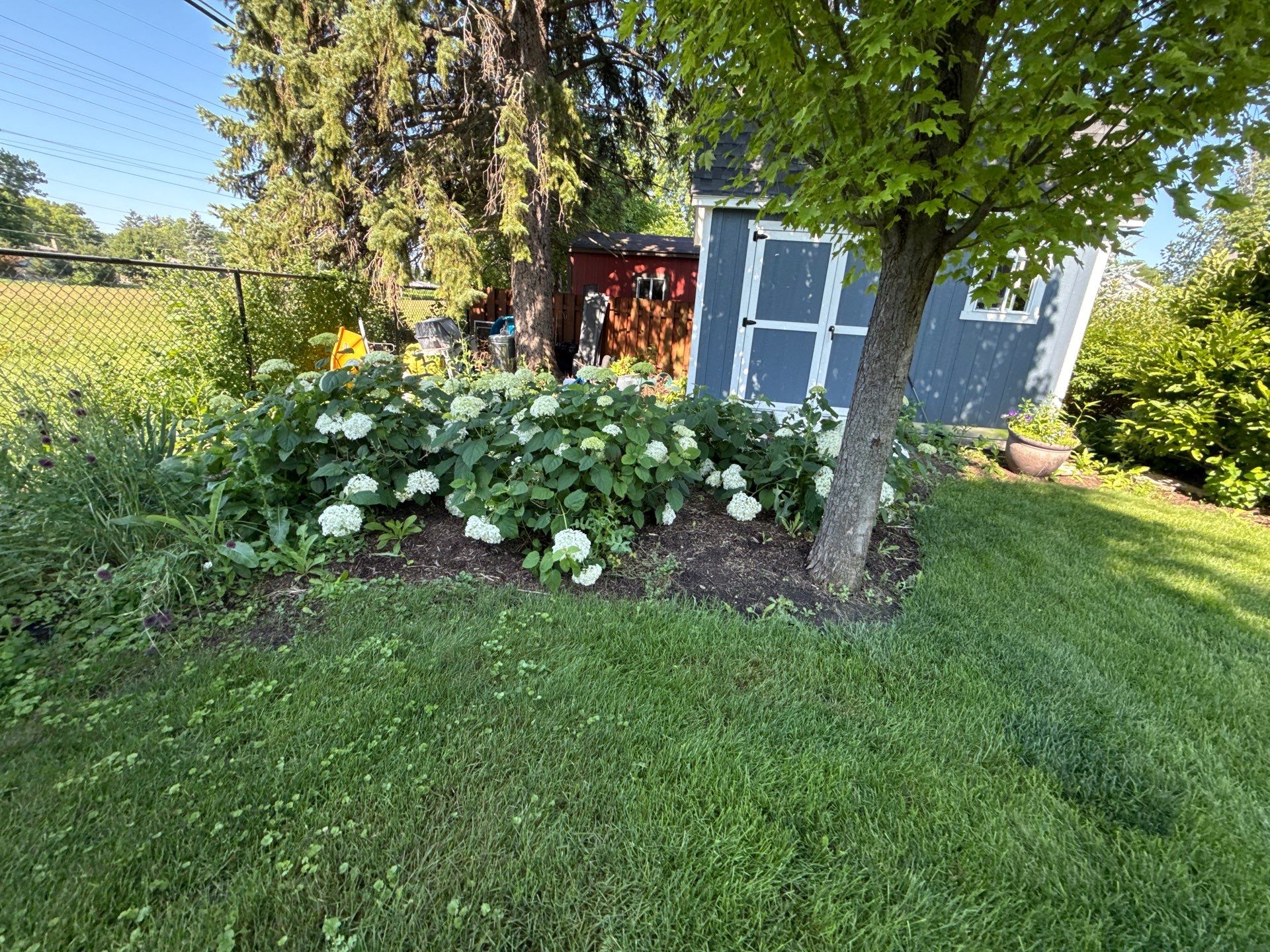 Rob M. - Arlington Heights, IL by A&N 