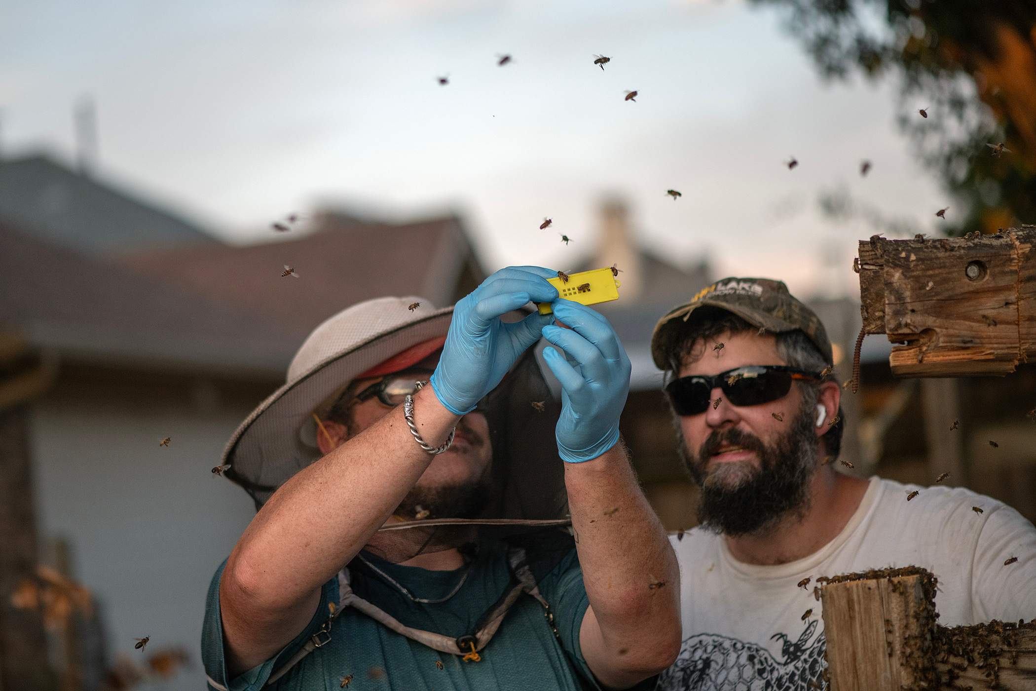 Brick Column by Rockwall Honey Bee Company