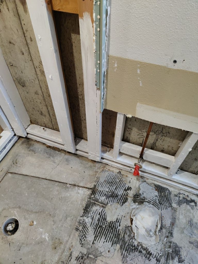 Mold Remediation by Accountable Home Services