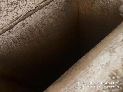 Mold