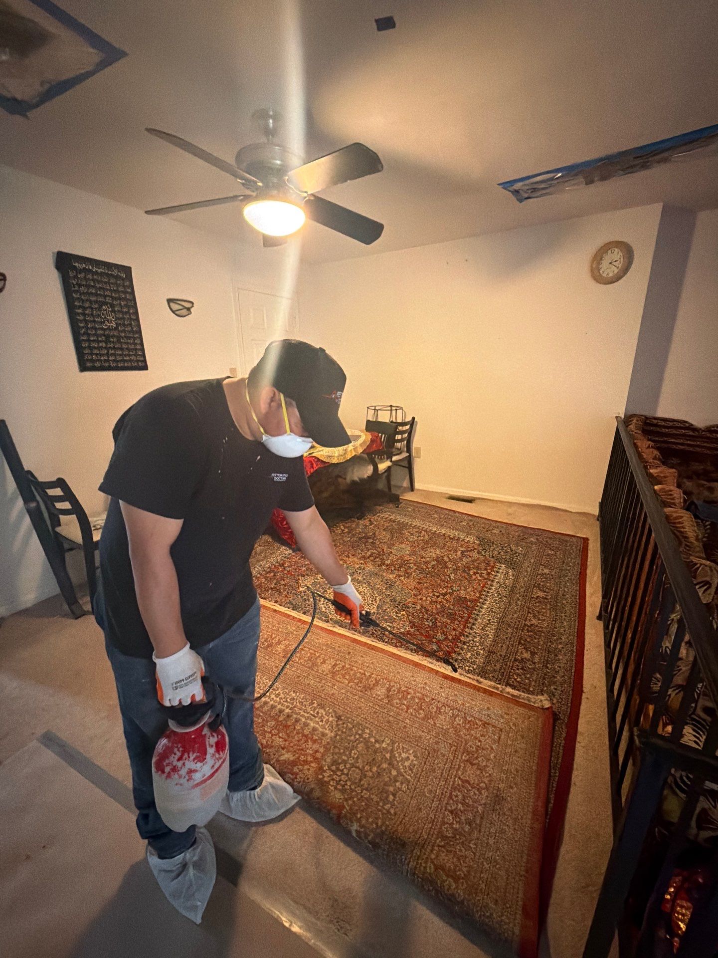 Project in Springfield by Restoration Doctor