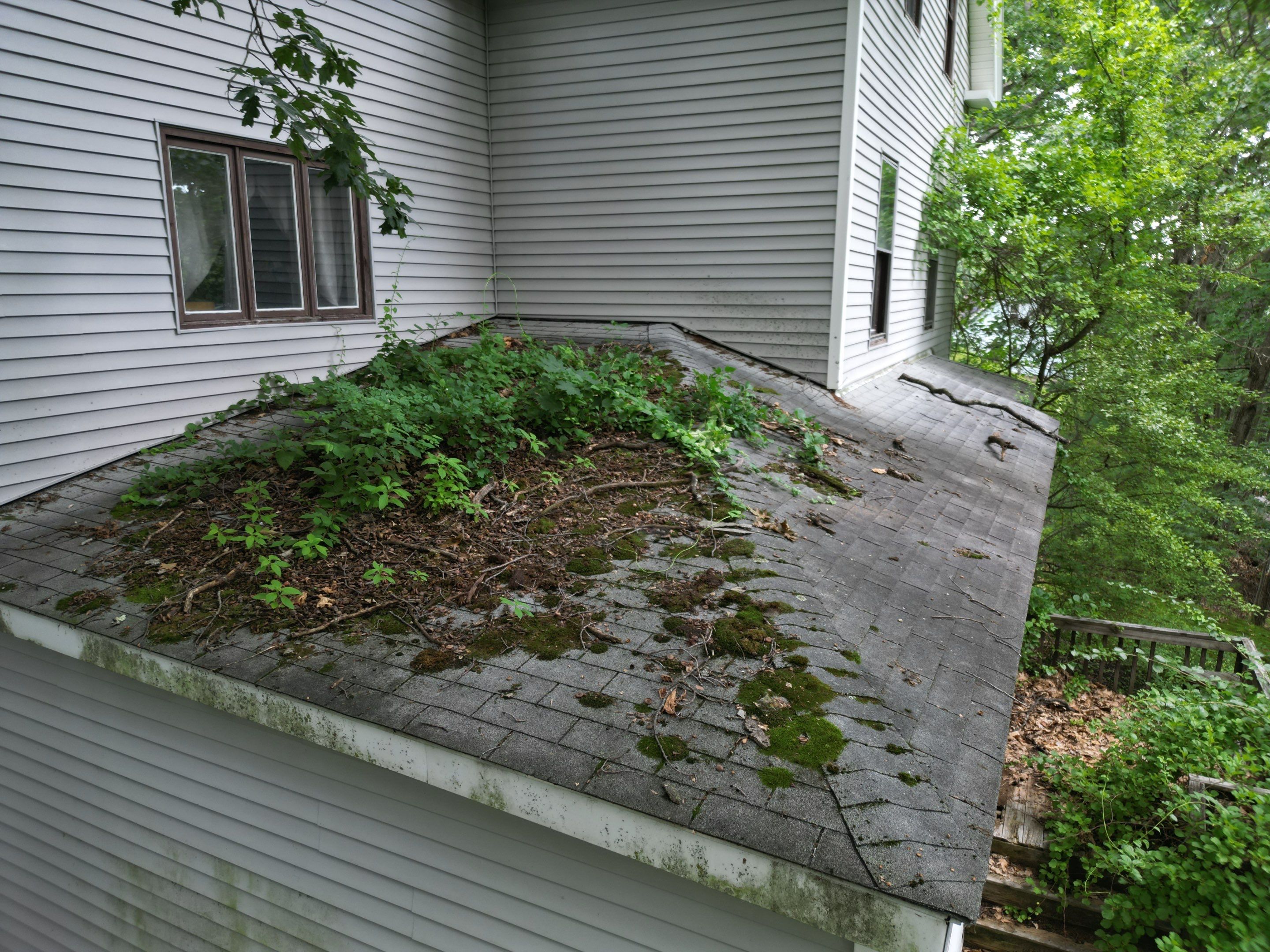 Roof Replacement and Chimney Repair in Fitchburg, MA by Mighty Dog Roofing of Greater Middlesex County