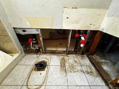 Mold Damage Project in Denver