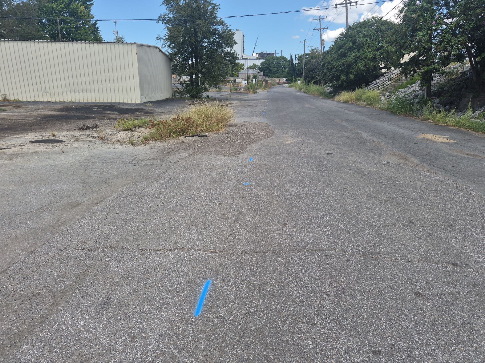 Utility Locate and Utility Mapping for Survey by Alsip Locating Service, LLC