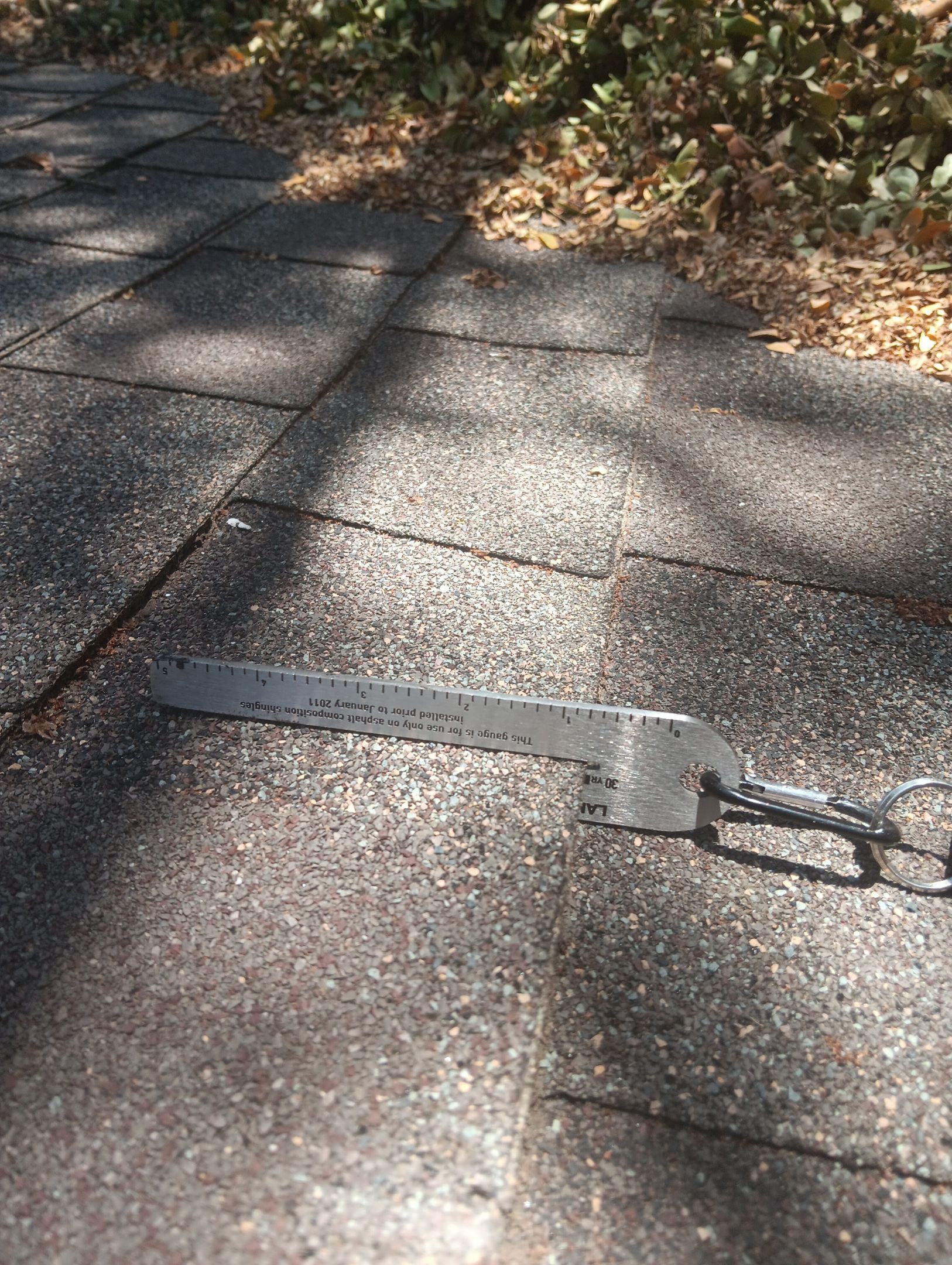 Impact Resistant Shingle by Tex-Line Roofing