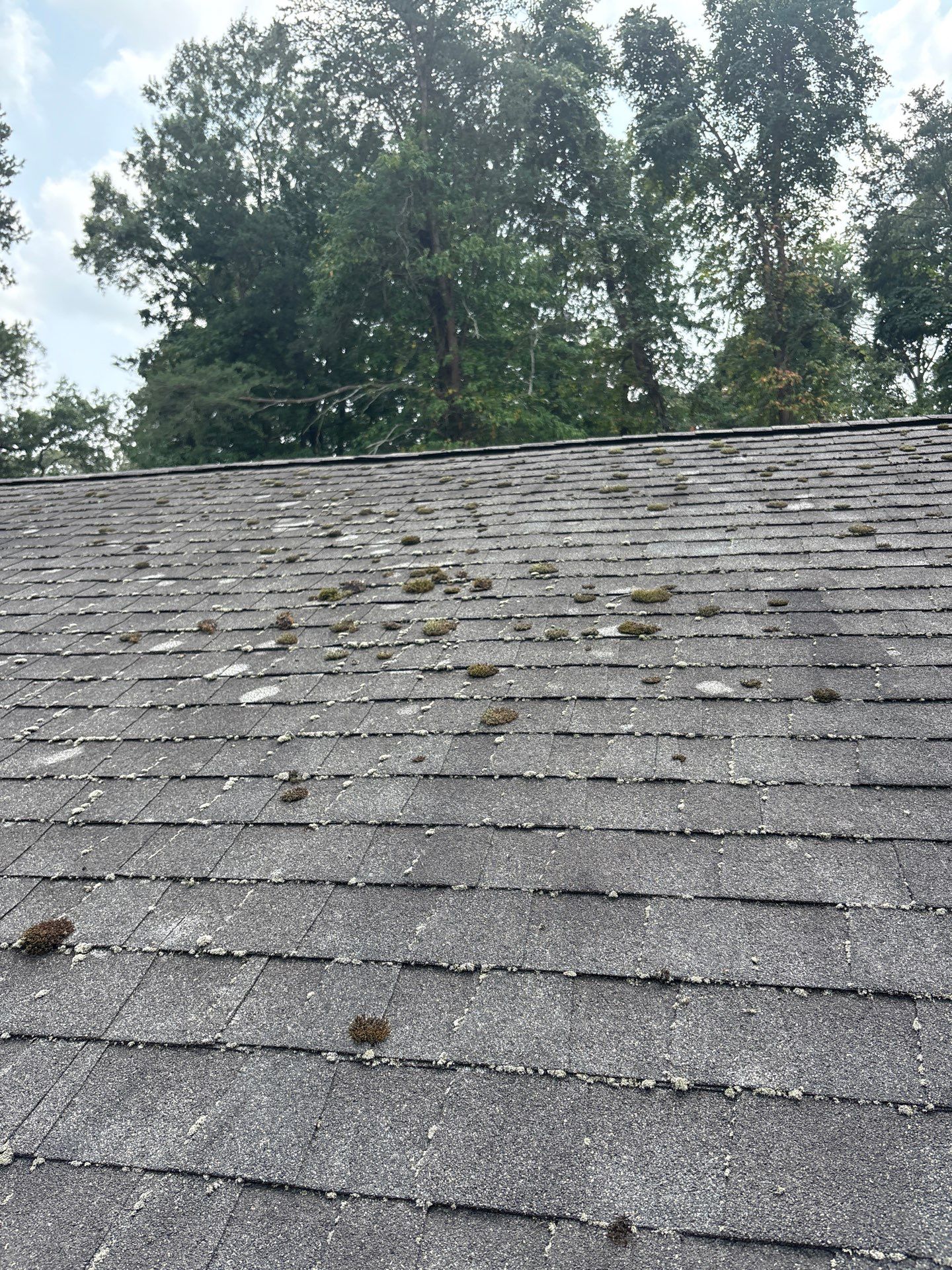 Roof Installation using GAF Timberline HDZ by ExteriorPros