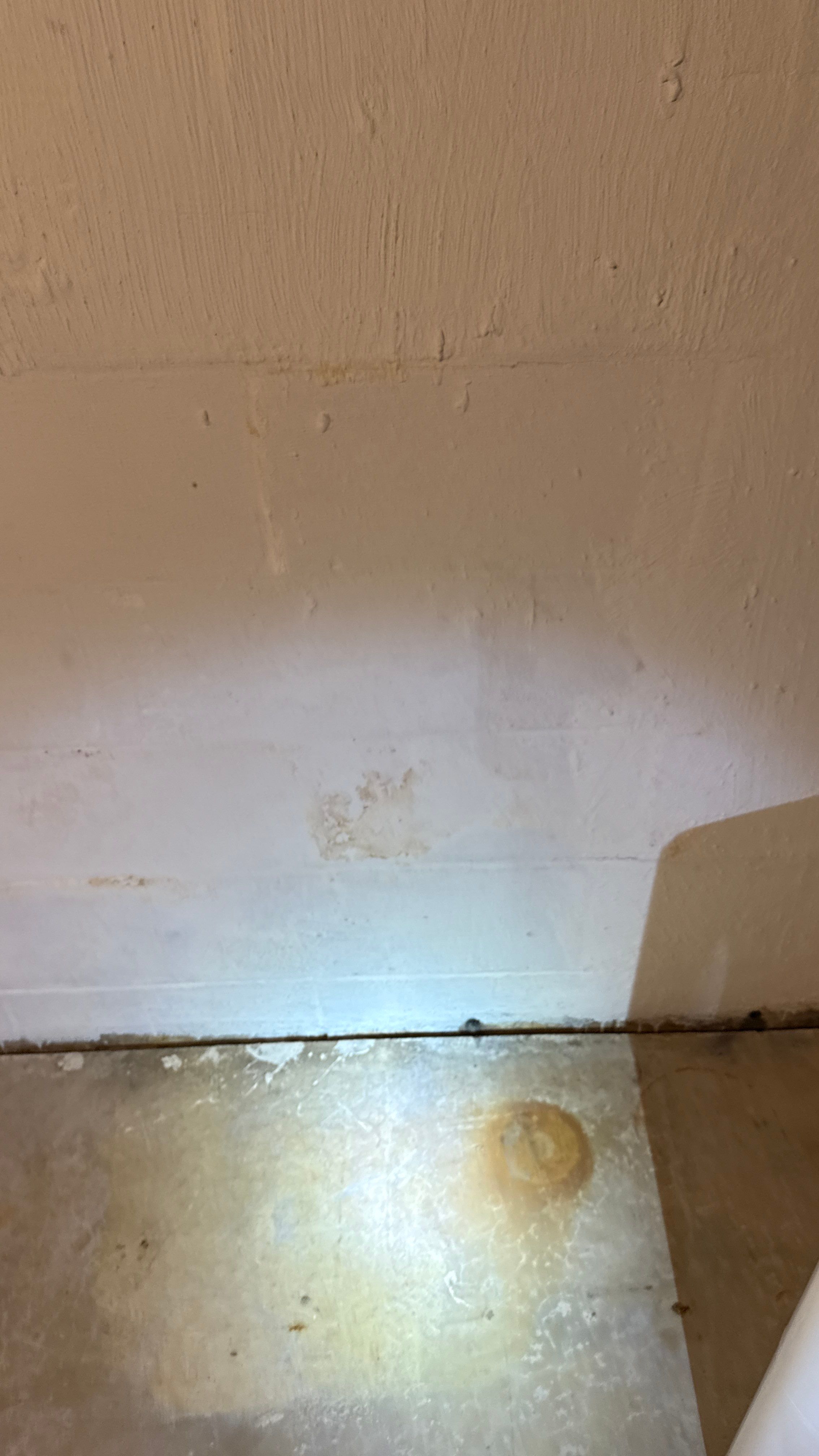 Interior French Drain in Princeton, NJ by Pure Service Pro, LLC 