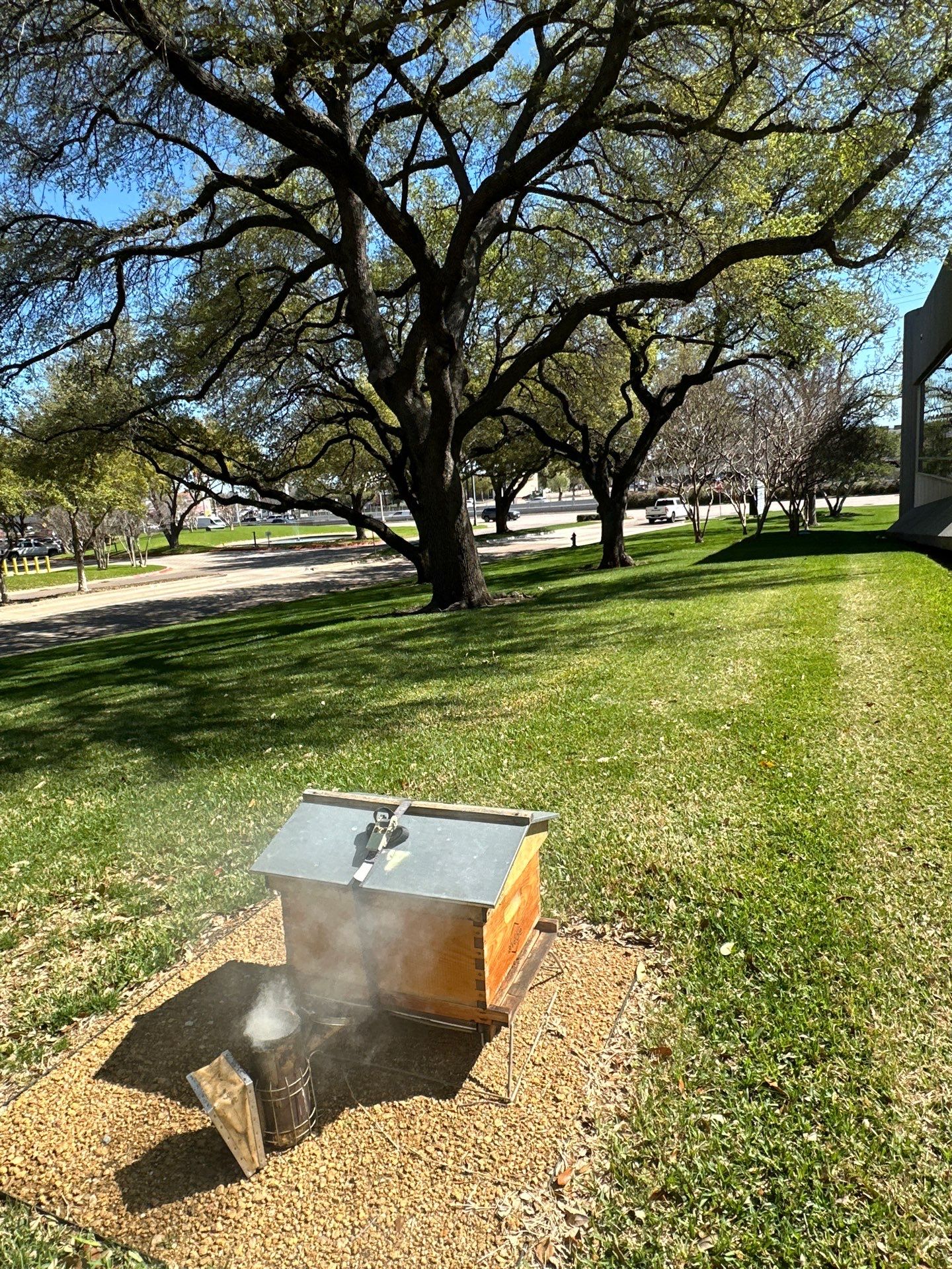 Addison by Rockwall Honey Bee Company