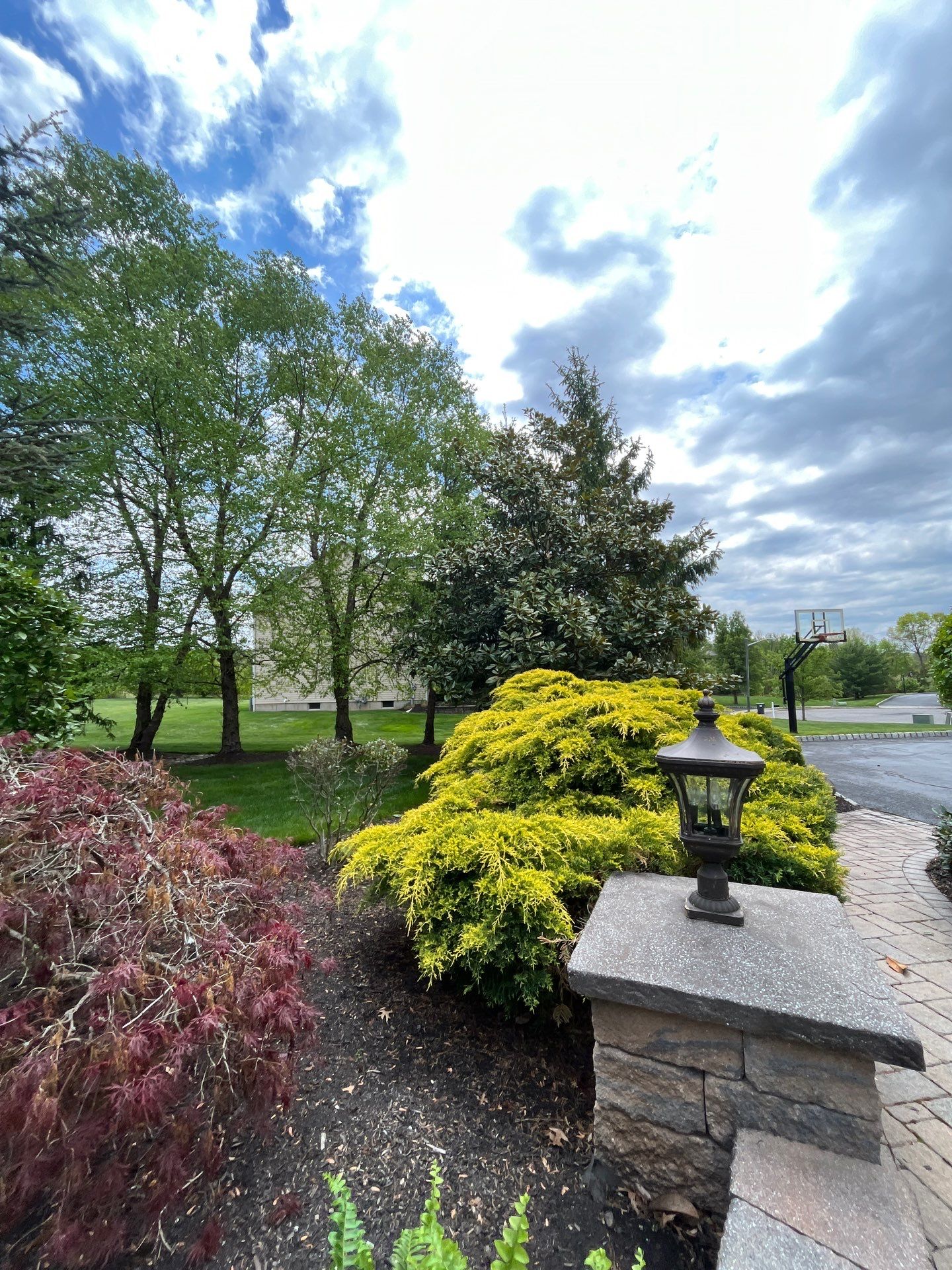 Lawn Care and Shrub Care at a beautiful Bridgewater property by Ants Plants