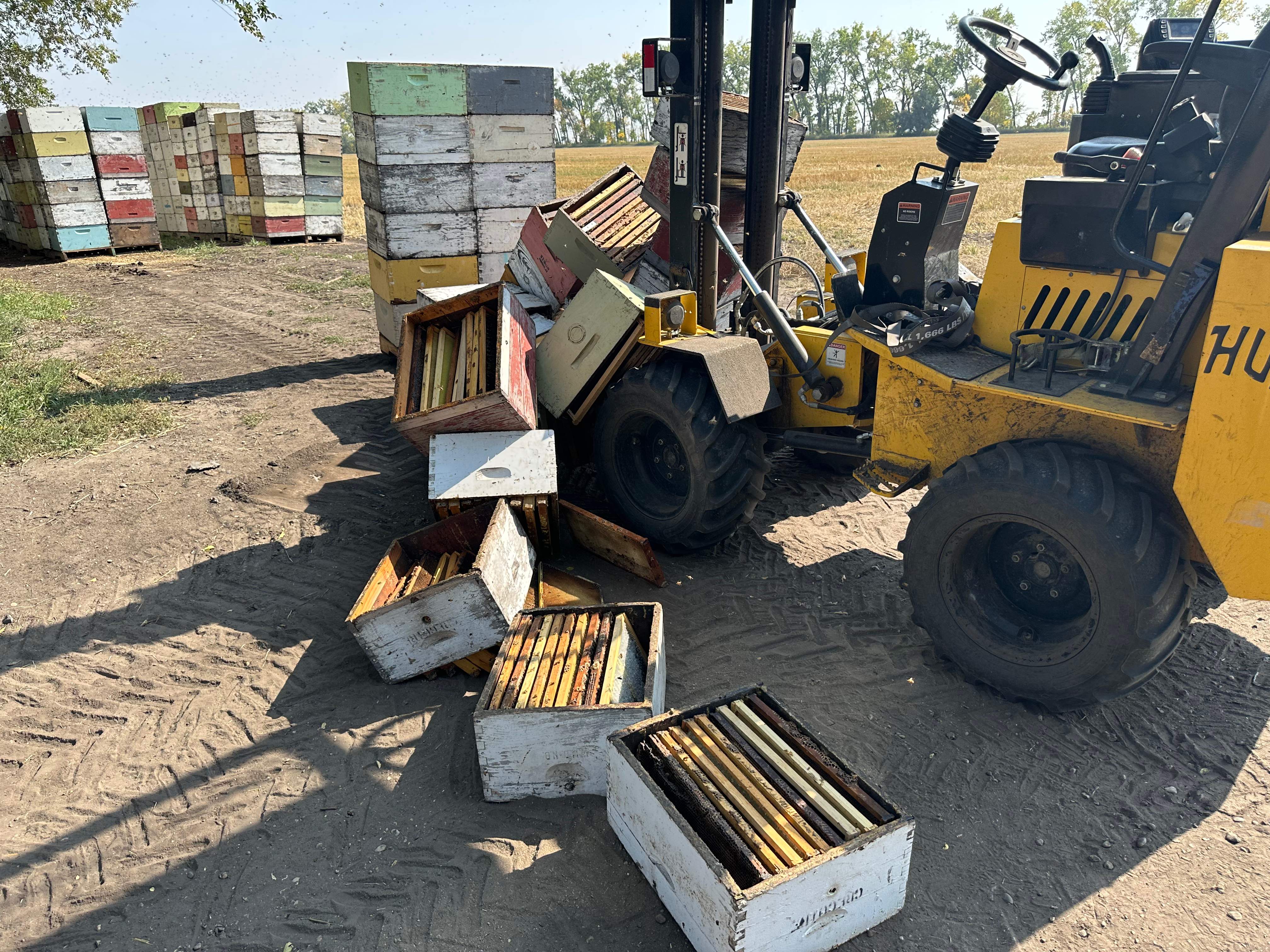 BeeGirl's Honey House in the Midwest by Rockwall Honey Bee Company