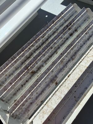 HVAC CLeaning 