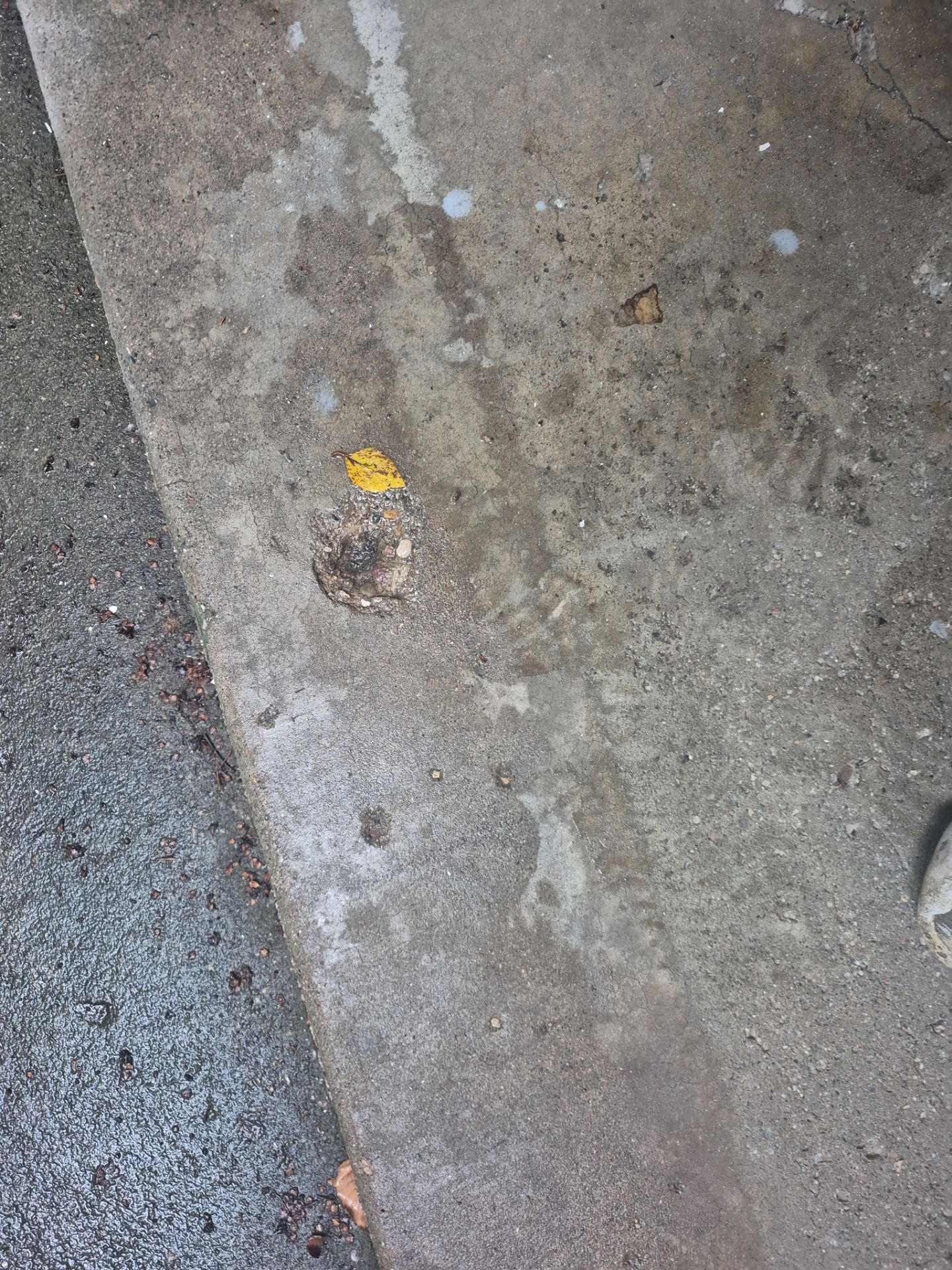 Project in Perry by Wise Coatings of Central Michigan