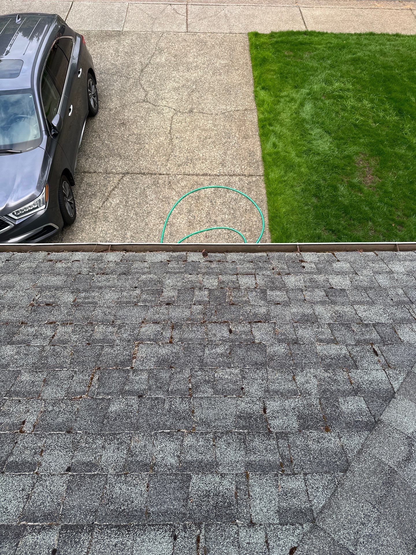 Softwashed in many Years back, and organic regrowth significant by DawnSky LLC