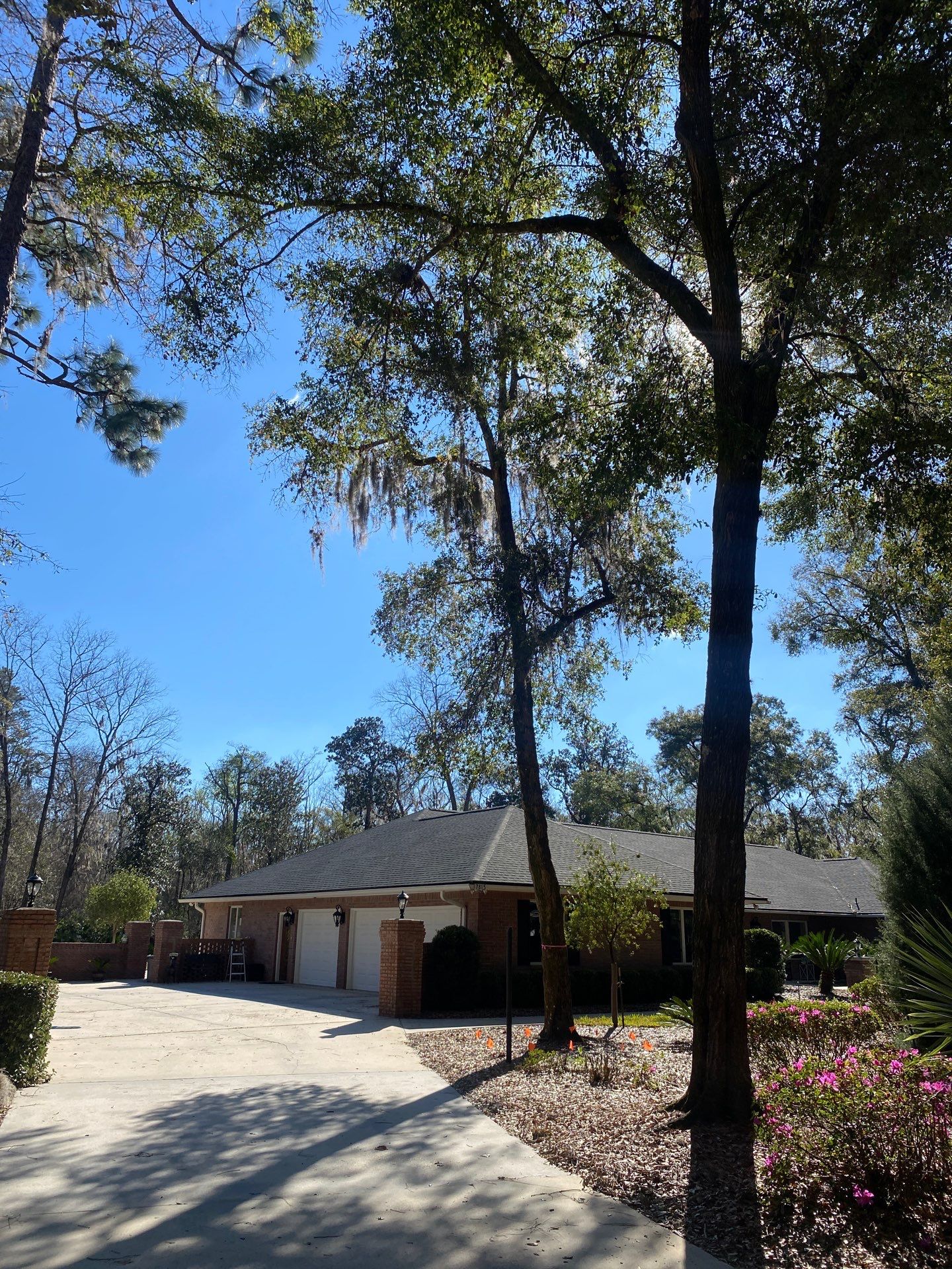 Deerwood Resident | Tree Removal by ProGreen Services