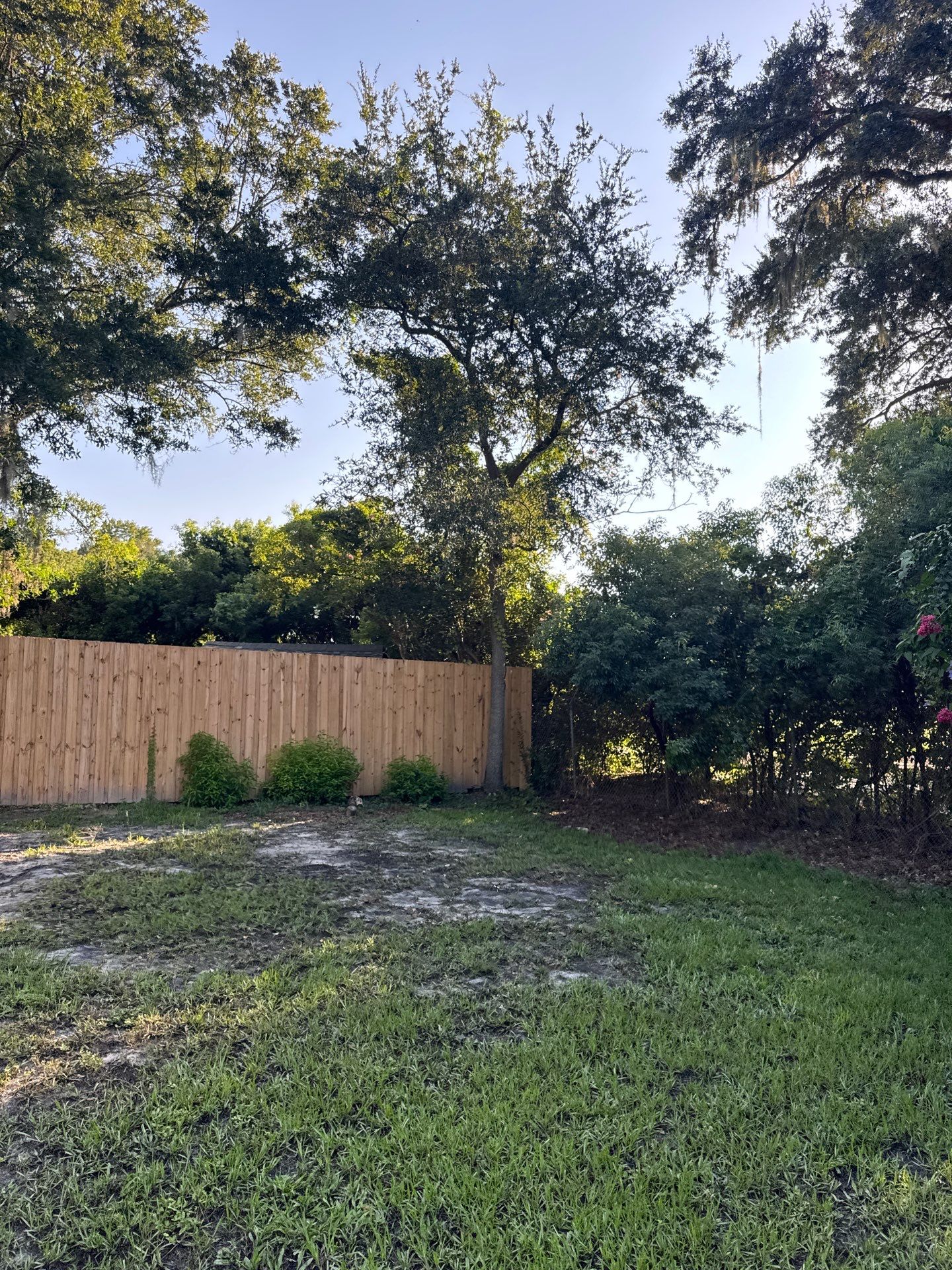 Residential | Tree Trimming  by ProGreen Services
