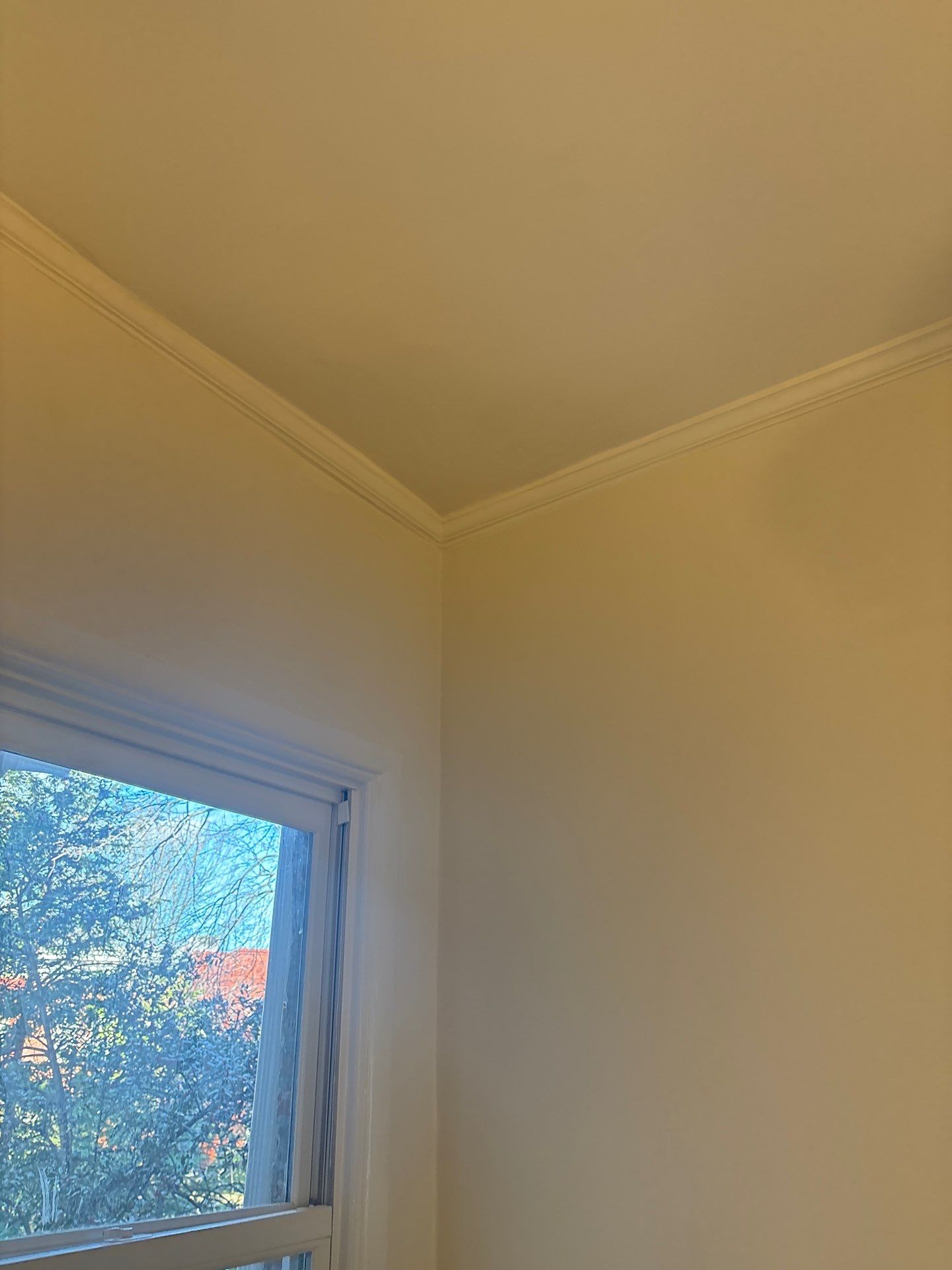 Interior Trim Services in Washington, DC by My Painter 