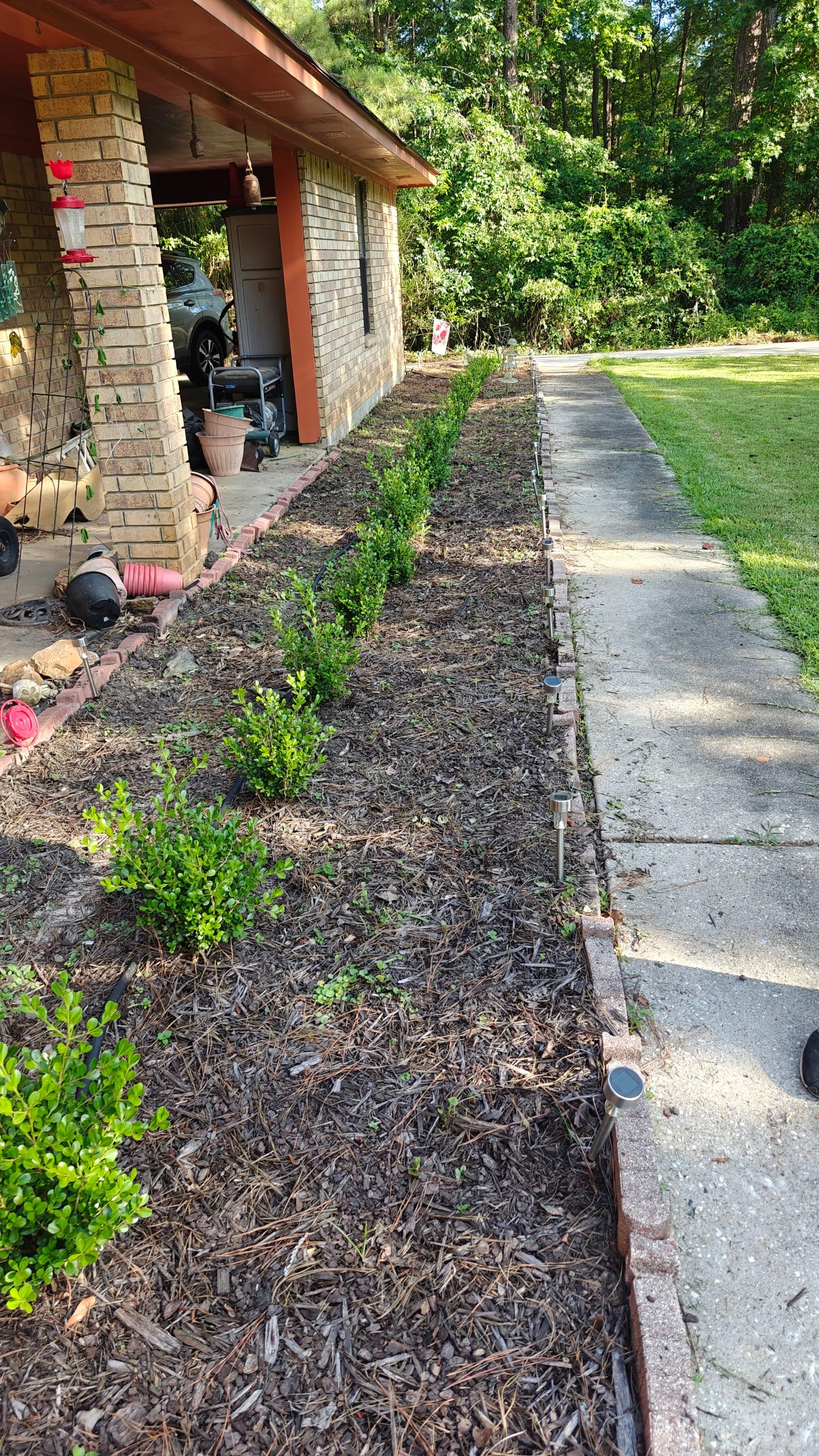 Bi Weekly Landscaping/ Weeding  by College Bros Outdoor services