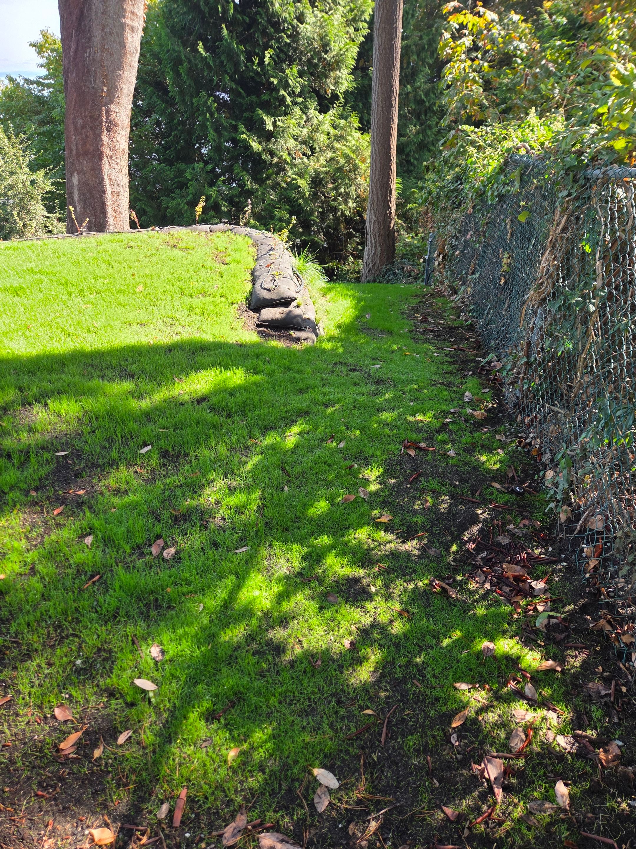Georgia Park Terrace — Living Slope Transformation by Habanero Landscape Solutions