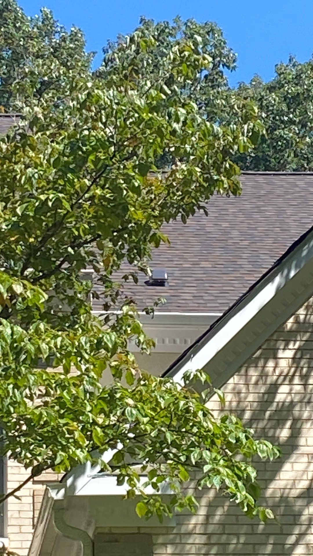 Fairfax station: Residential Roof with CertainTeed Landmark Pro in Max Def Shenandoah  by RM Banning, Inc.