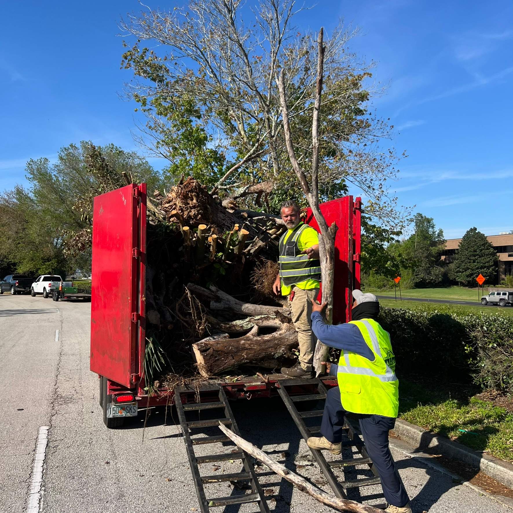 Tree Work | The Avenues Mall by ProGreen Services