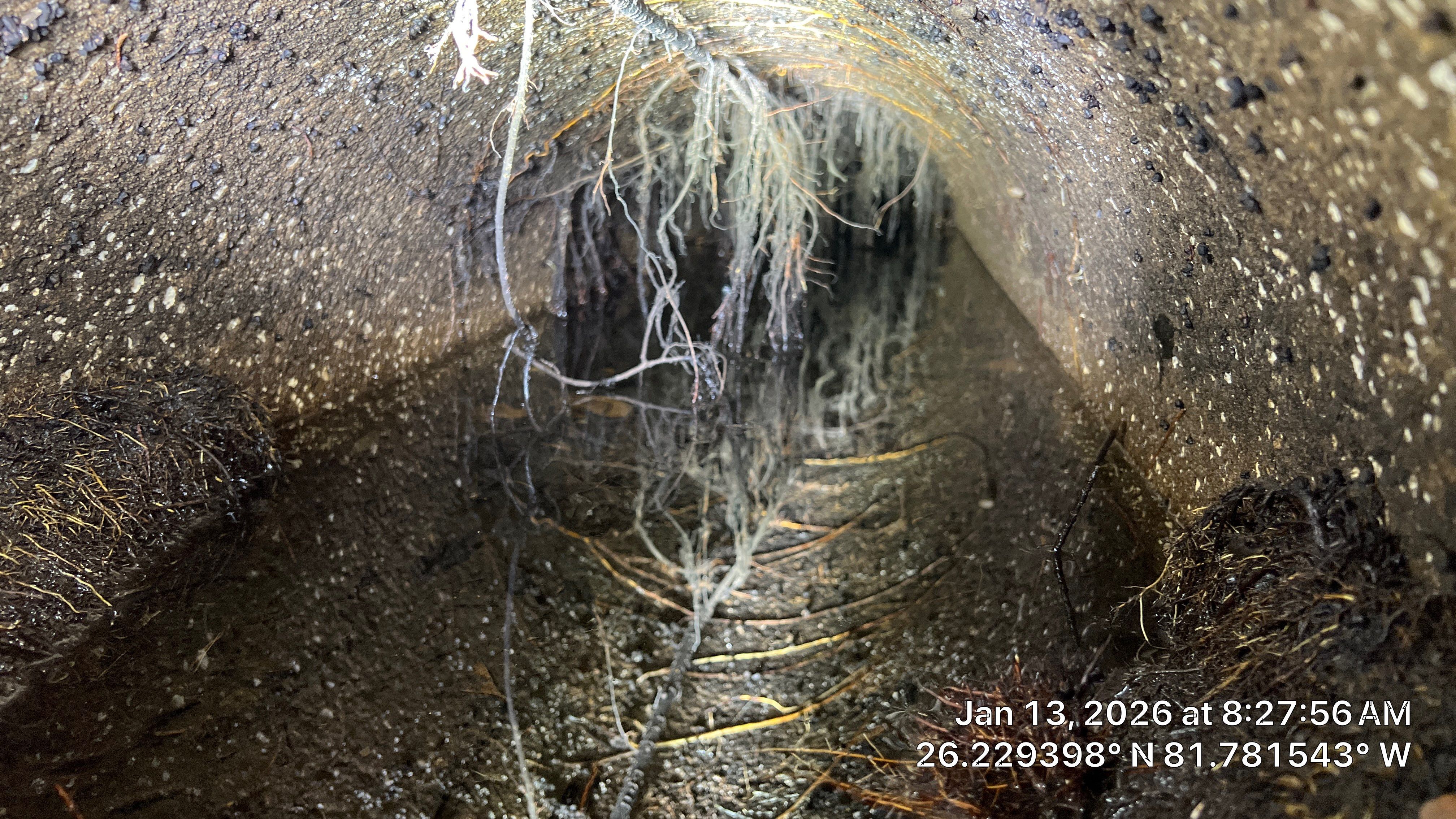 Naples Community Root Intrusion Investigation with P.R.S. by Don Mar, Inc. Storm Water Solutions