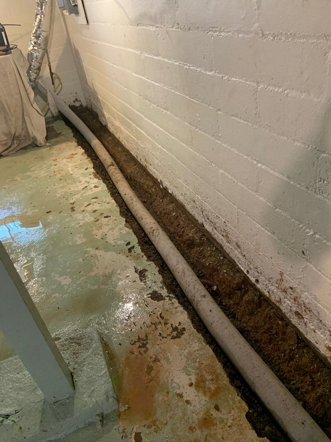 Helping Diane Protect Her Home by Waterproofing Northeast