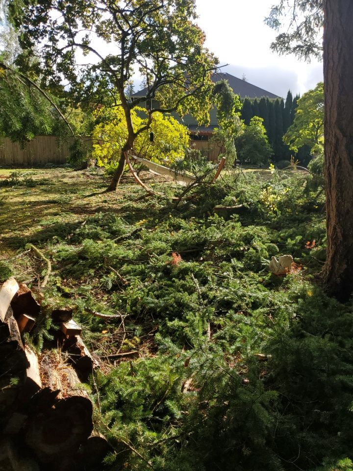 Tree Removal using Tree Removal by Mike Jones & Sons Tree Service LLC 