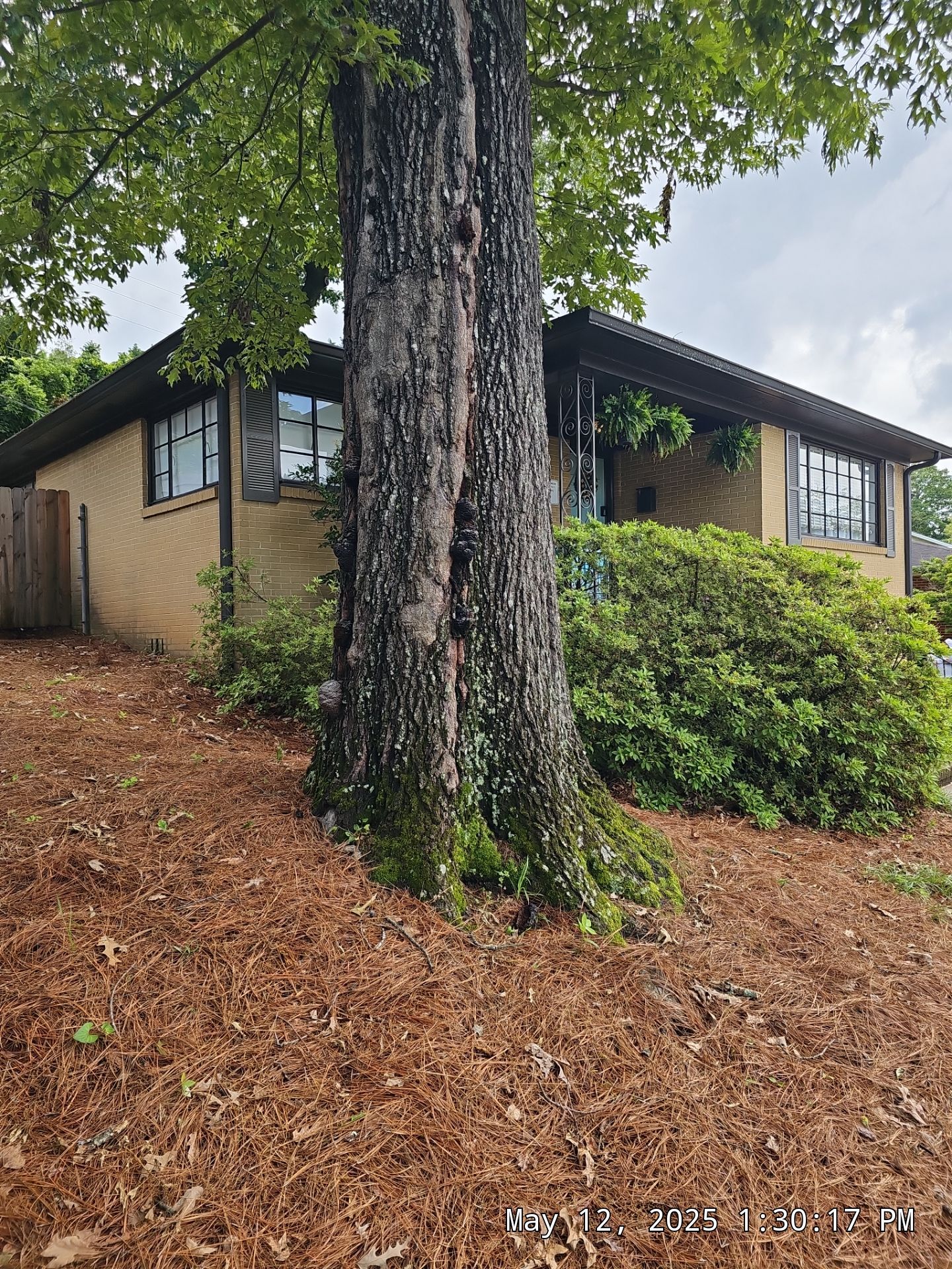 McMilan Project in Birmingham by The Window Source