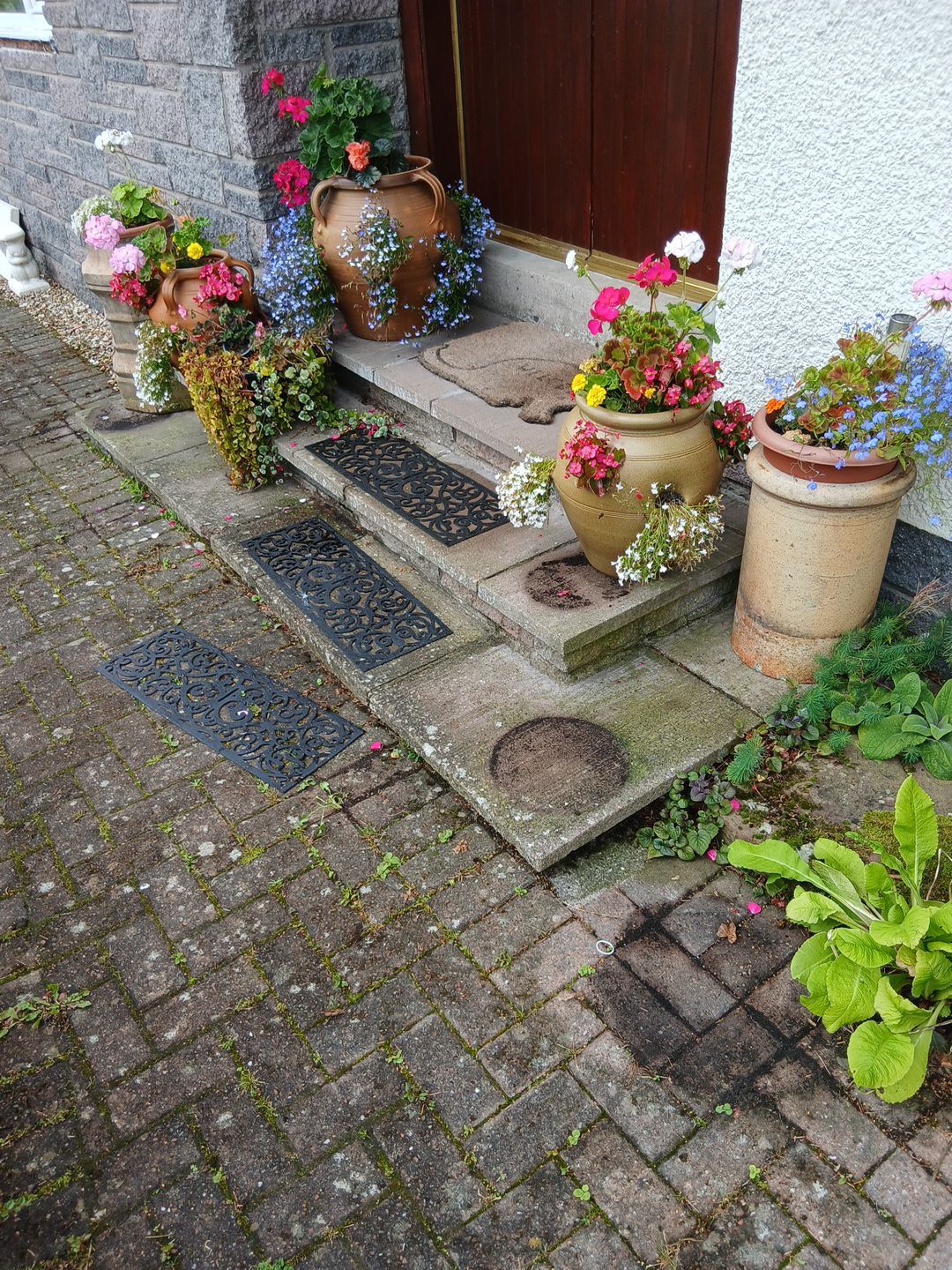 Jetwash in Carluke by EZXCo Ltd