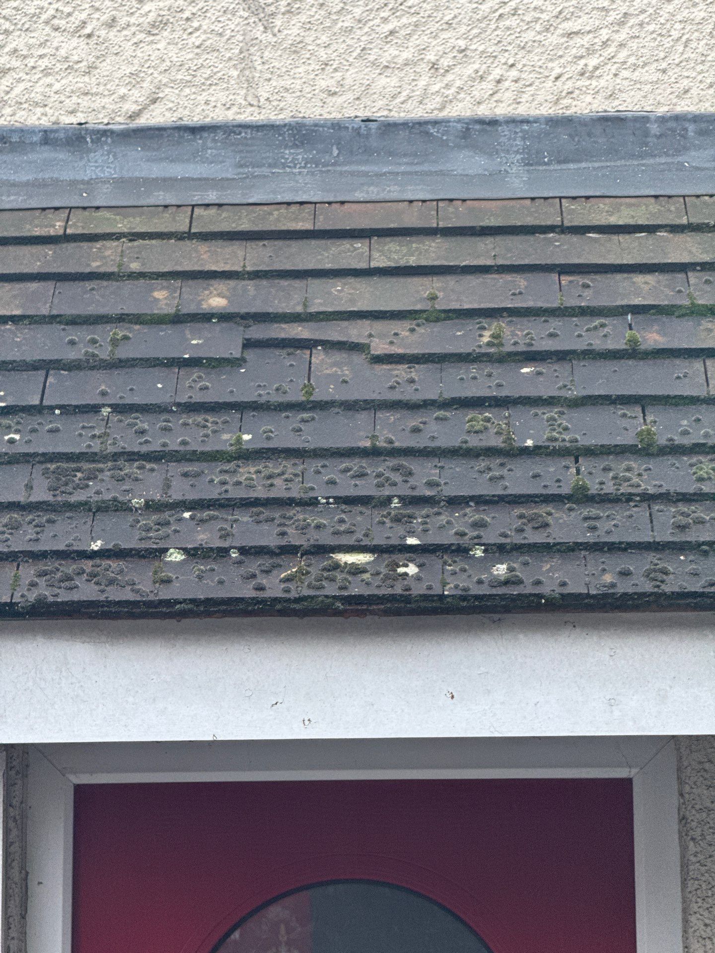 Commercial Roof Clean -Block Of Flats using Honda 15lpm Low Pressure Washing Machine by Ges Exterior Cleaning ltd