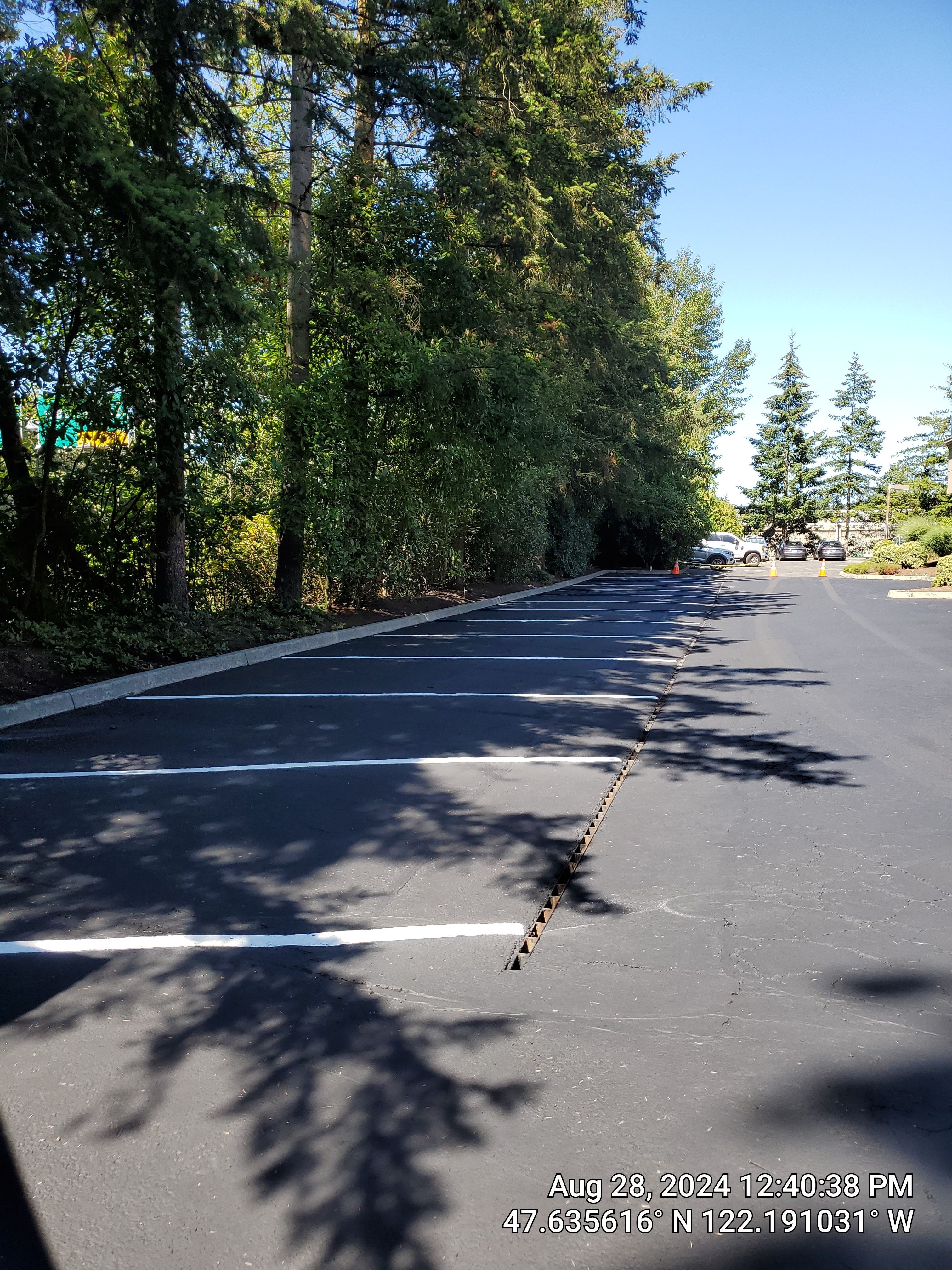 Buchan | Business Parking Lot Repair & Striping by Jireh Asphalt & Concrete Inc 