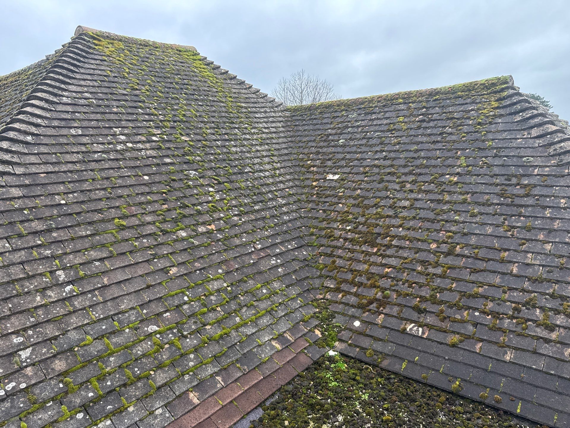 Roof Clean  - Moss Removal - Gutter Clean using Honda 15lpm Low Pressure Washing Machine by Ges Exterior Cleaning ltd