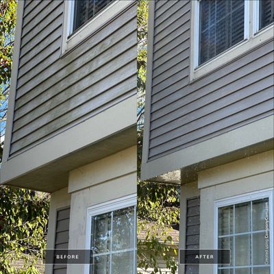 Project in Lake Villa