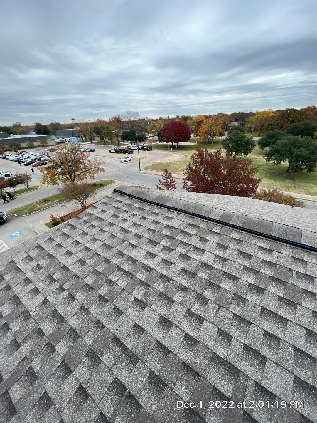 Community project by Springtree Restoration 