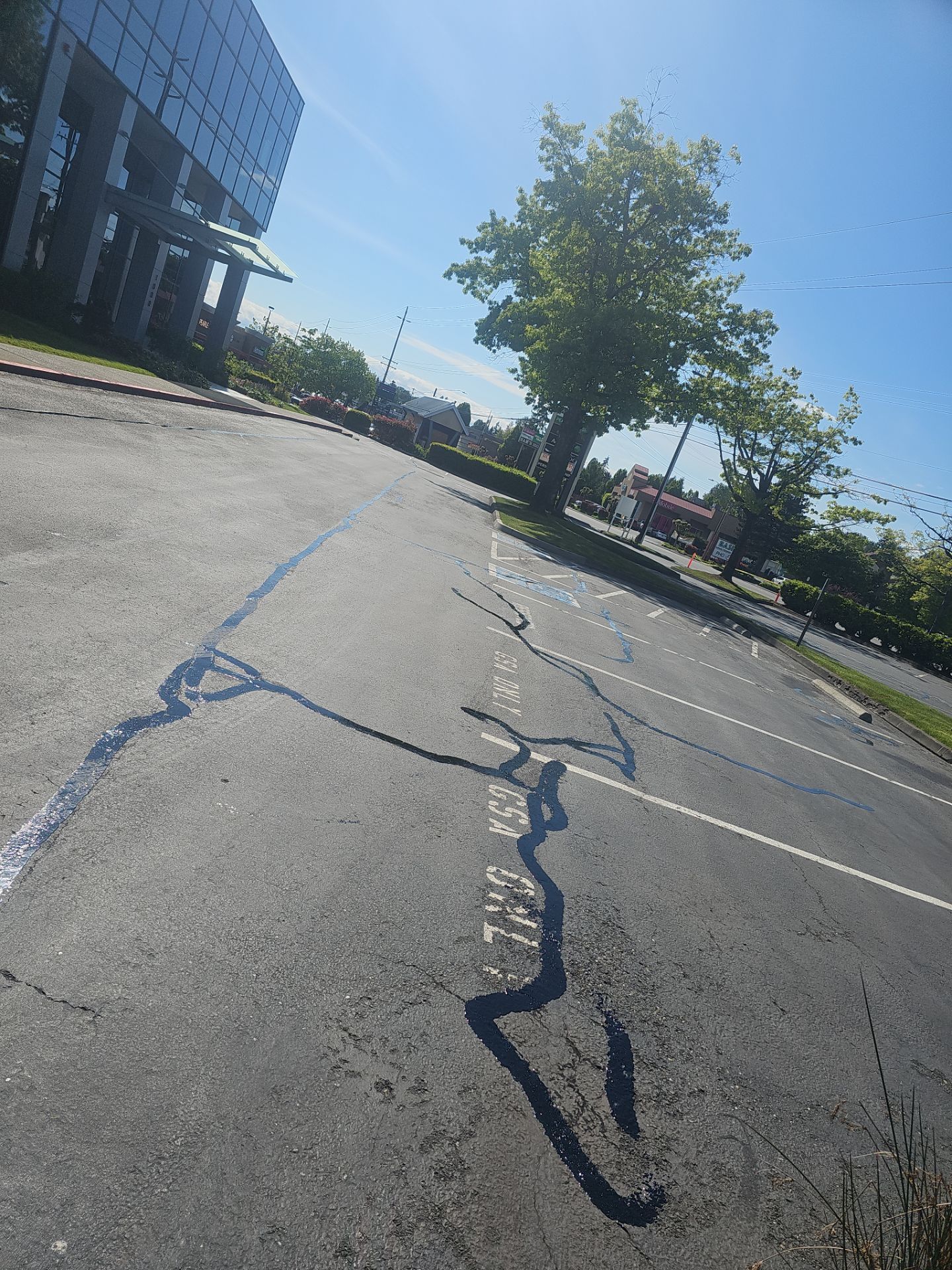 Sealcoat Parking Lot Renovation | Everett  by Jireh Asphalt & Concrete Inc 
