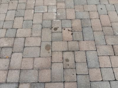 Sunshine AquaWash – Oil Stain Removal Experts