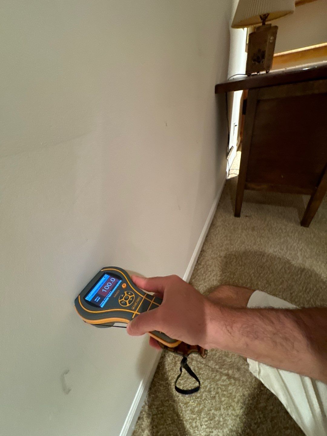 Project in Novi by EzDry Water Mitigation & Property Restoration