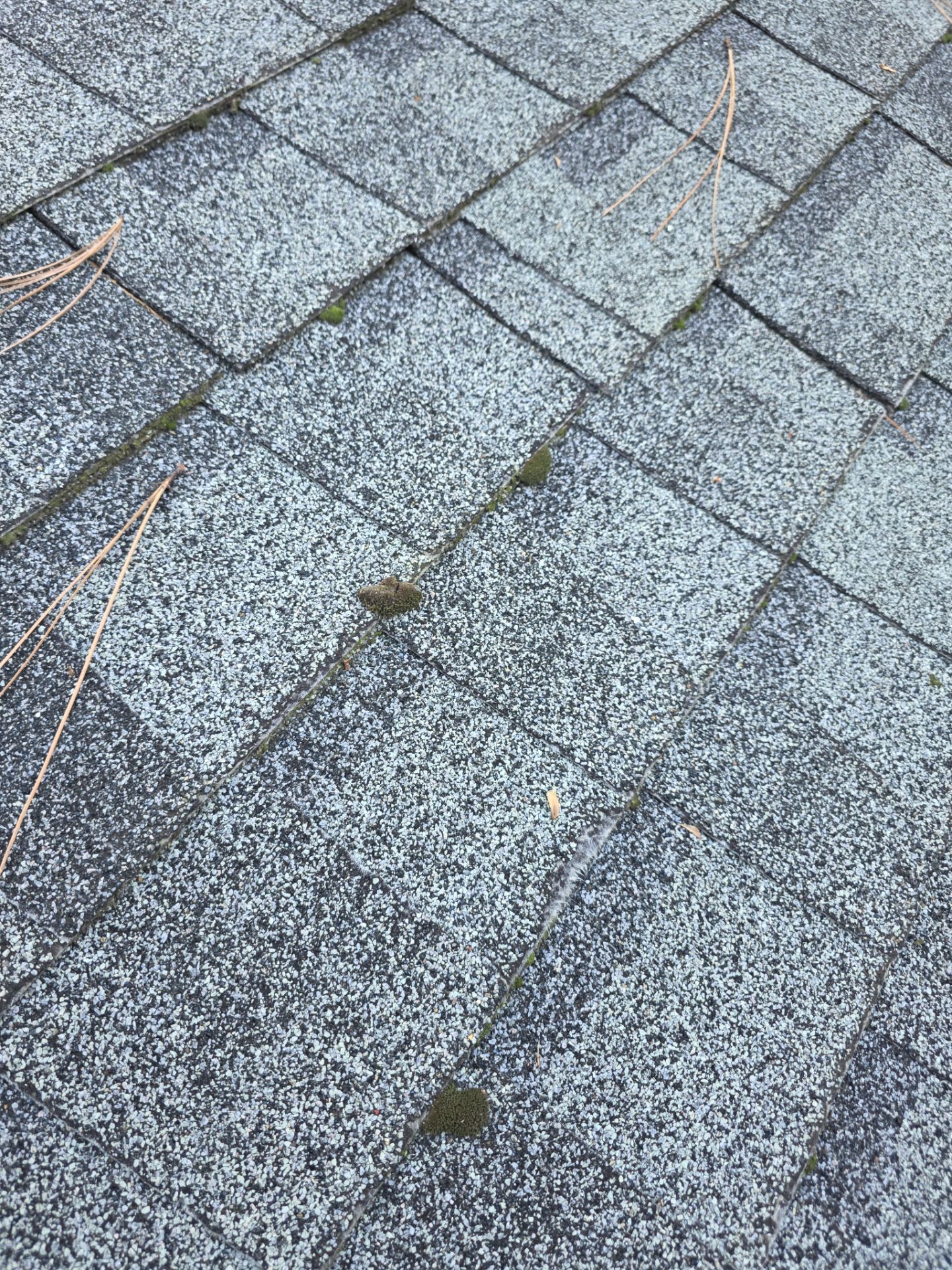 Roof Rejuvenation using Roof Maxx Treatment by Roof Maxx of Folsom