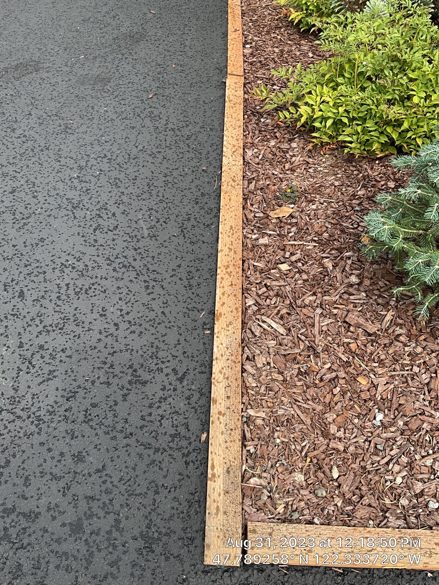 Bonnie | Asphalt Driveway Repair  by Jireh Asphalt & Concrete Inc 
