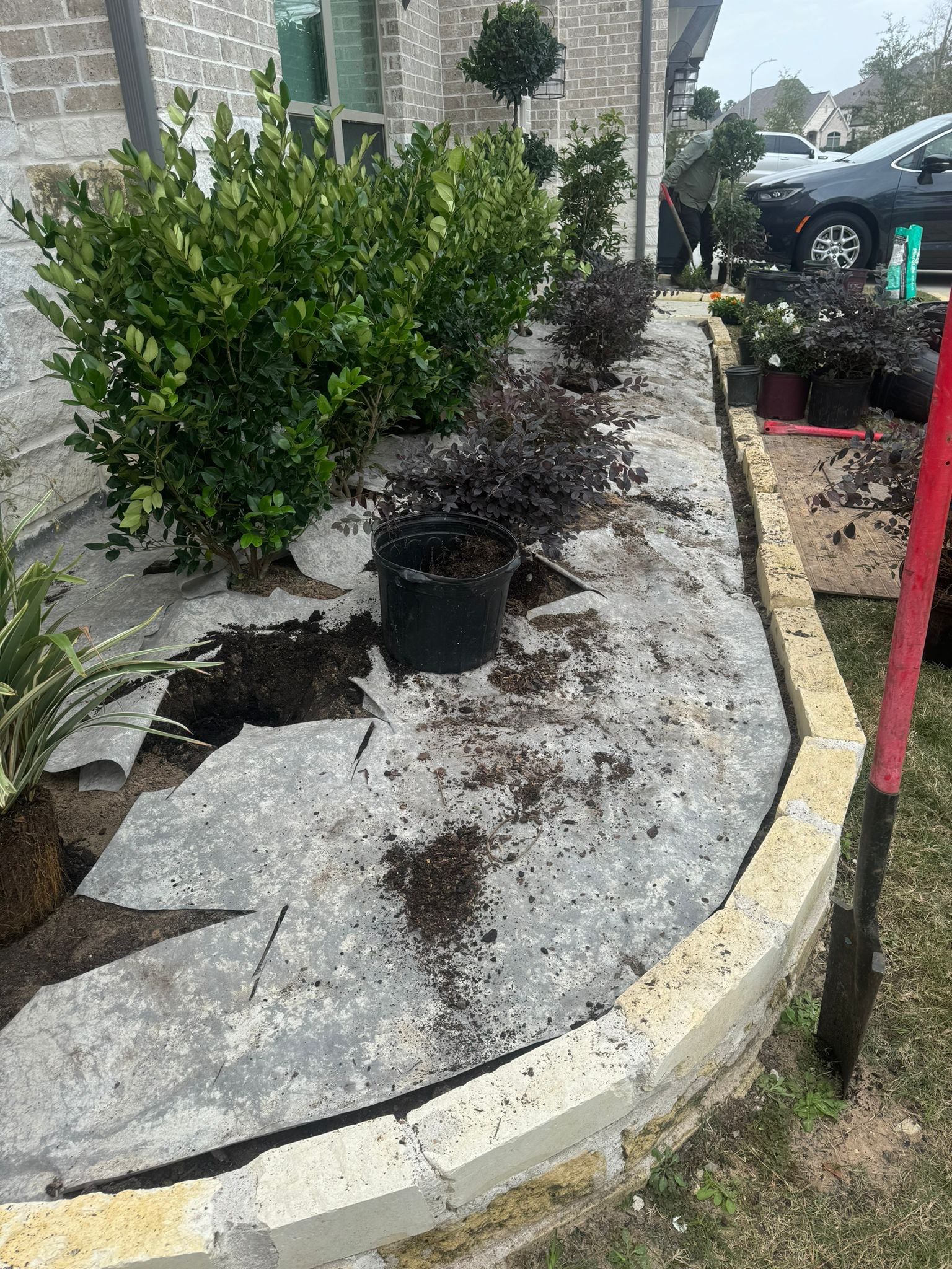 🌿✨ Yard of the Month – Curb Appeal with Drainage, Irrigation & Walk Path by Texas Urban Elements