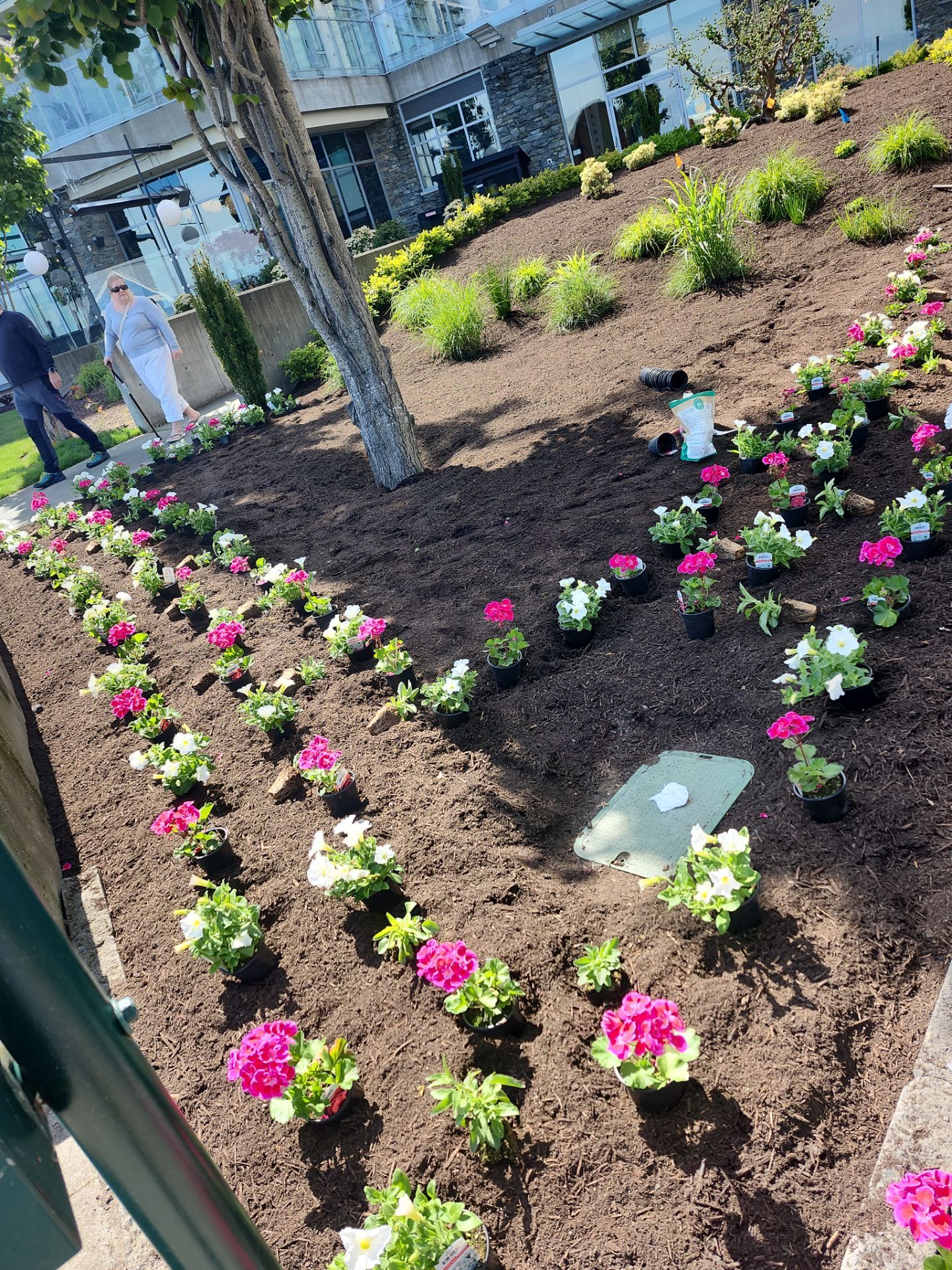 Sidney Pier by Habanero Garden and Exterior Care