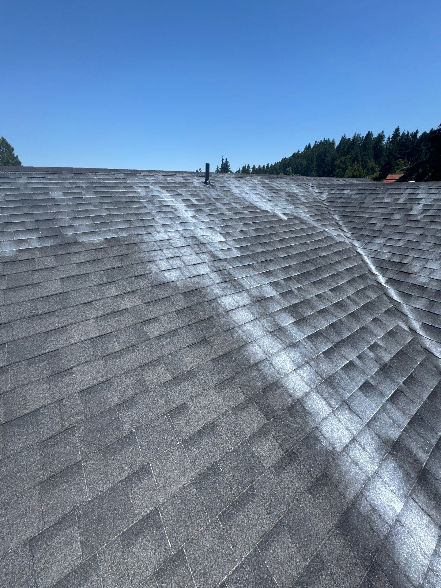Project in Cottage Grove by Roof Maxx of Grants Pass