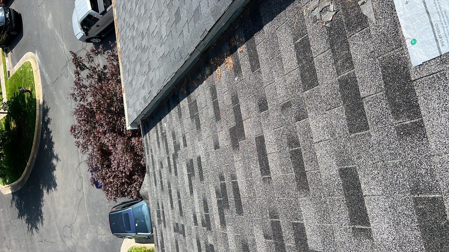 Reston: CertainTeed Landmark Pro Architectural Shingles in Max Def Moire Black by RM Banning, Inc.