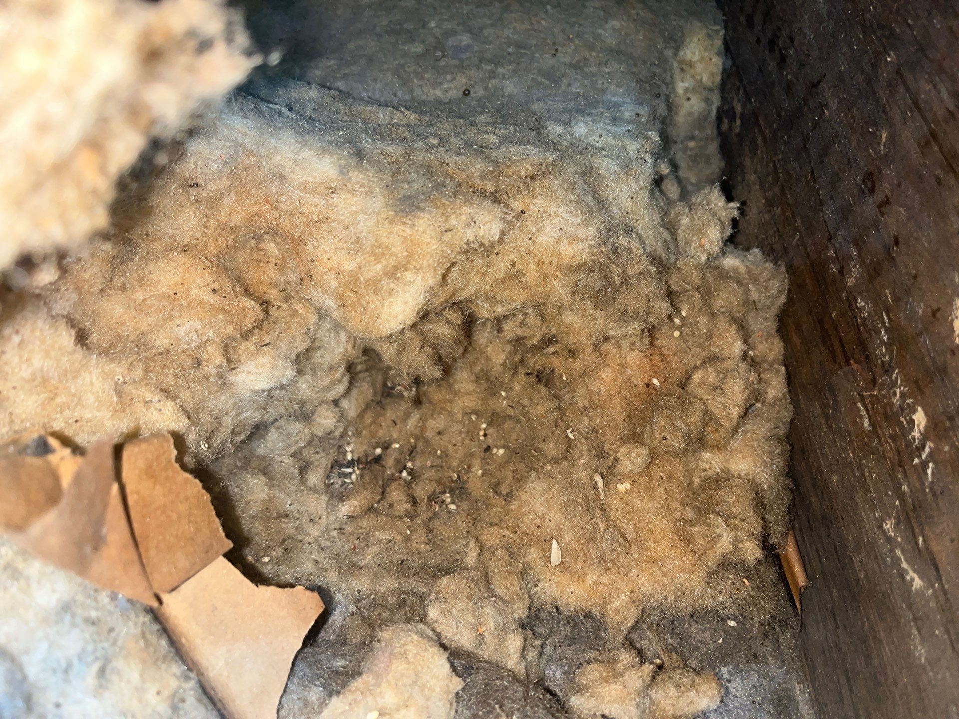 Comprehensive Attic Insulation and Air Sealing in Pittsburgh by Home Environment Solutions