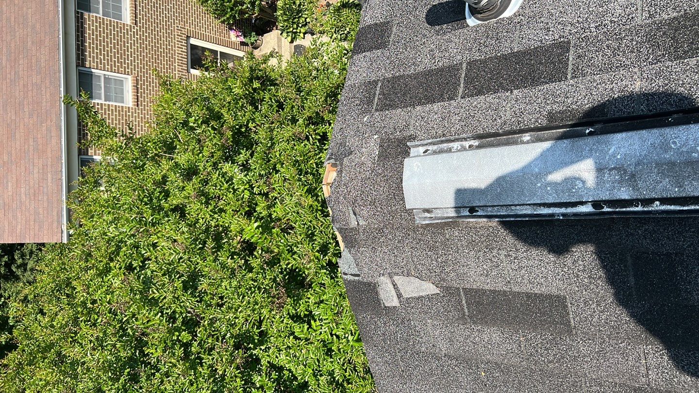 Reston: CertainTeed Landmark Pro Architectural Shingles in Max Def Moire Black by RM Banning, Inc.